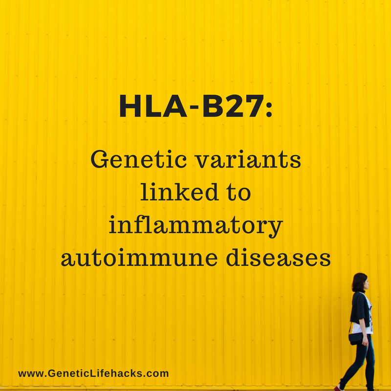 HLA-B27: Genetic Variants That Increase Susceptibility To Autoimmune ...