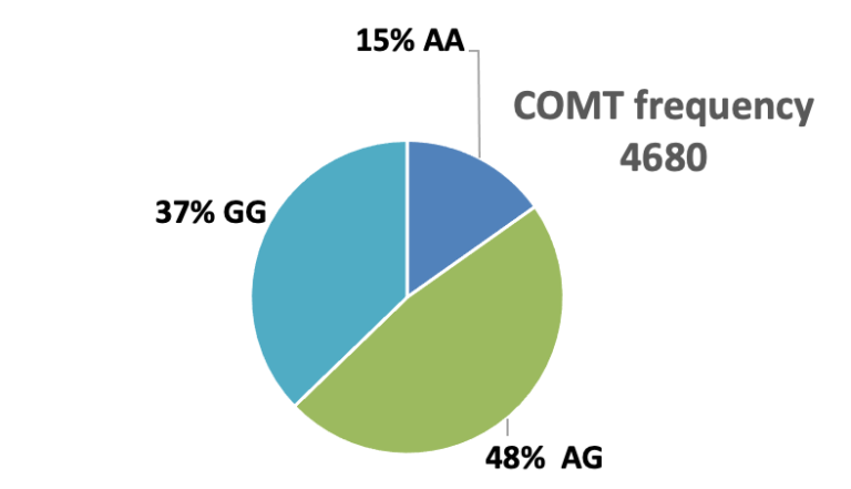 How To Check Your Genetic Data For COMT Genetic Lifehacks