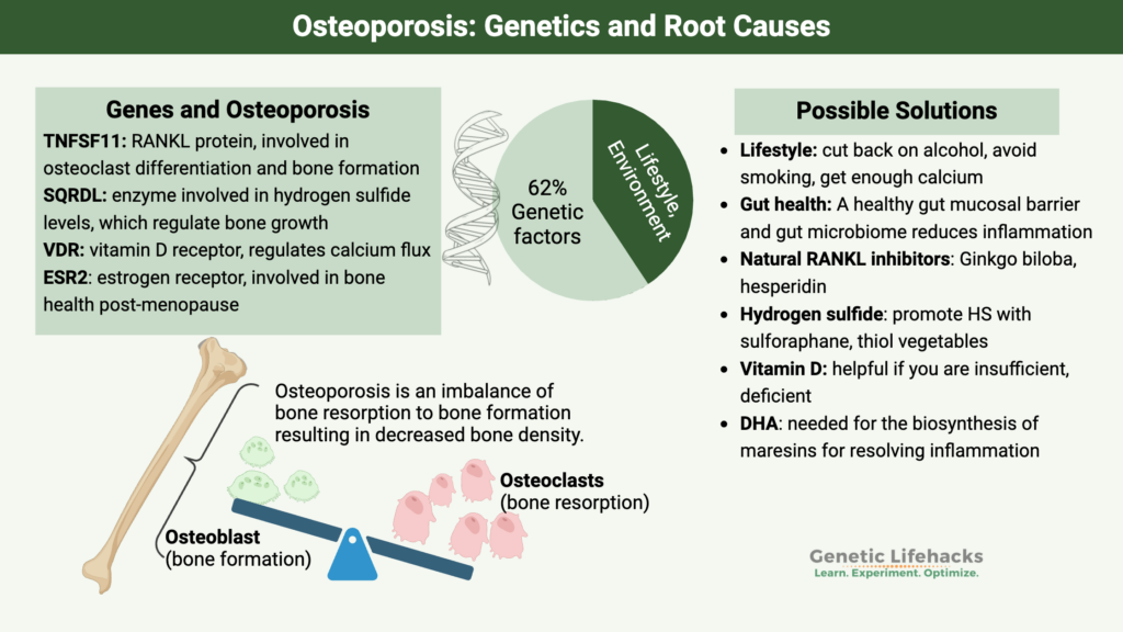 Osteoporosis Genetics and Causes