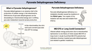 Pyruvate Dehydrogenase Deficiency symptoms, genetic mutations, connection to long covid