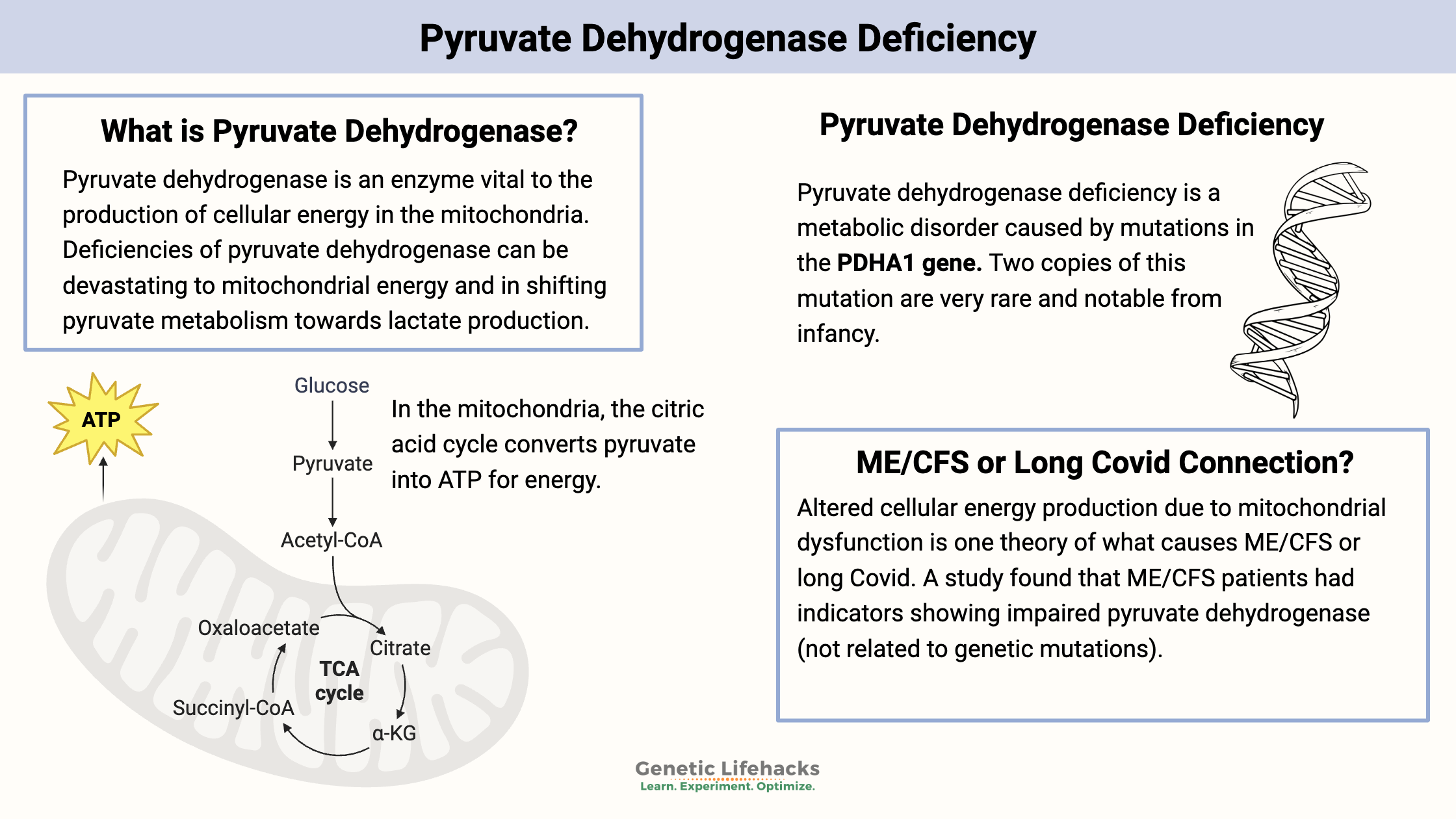 Pyruvate Dehydrogenase Deficiency symptoms, genetic mutations, connection to long covid