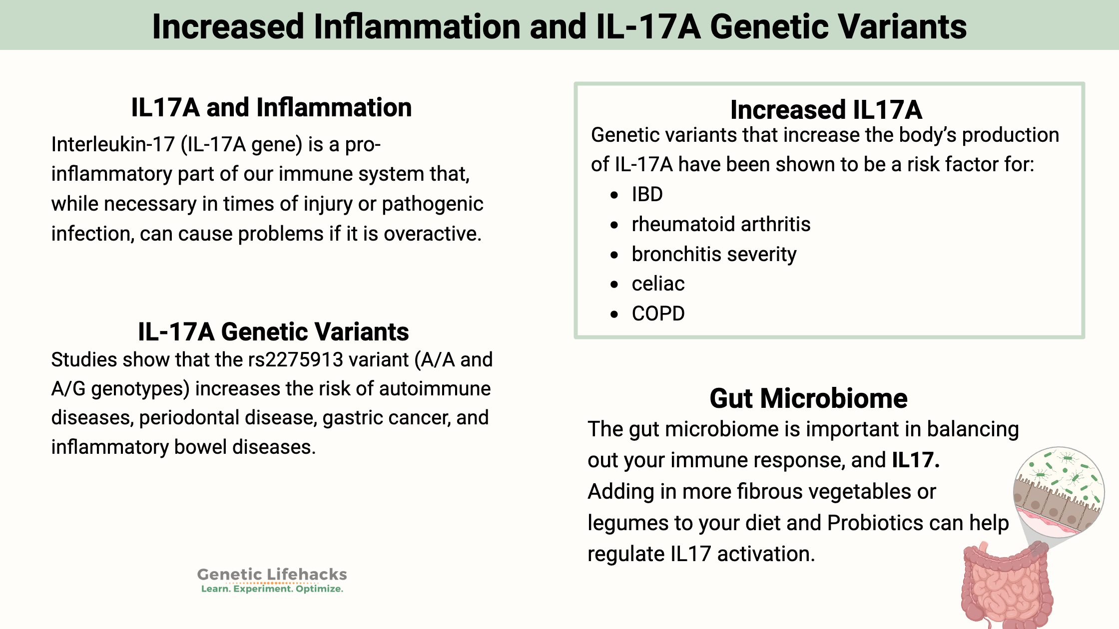 Increased Inflammation and IL-17A Genetic Variants