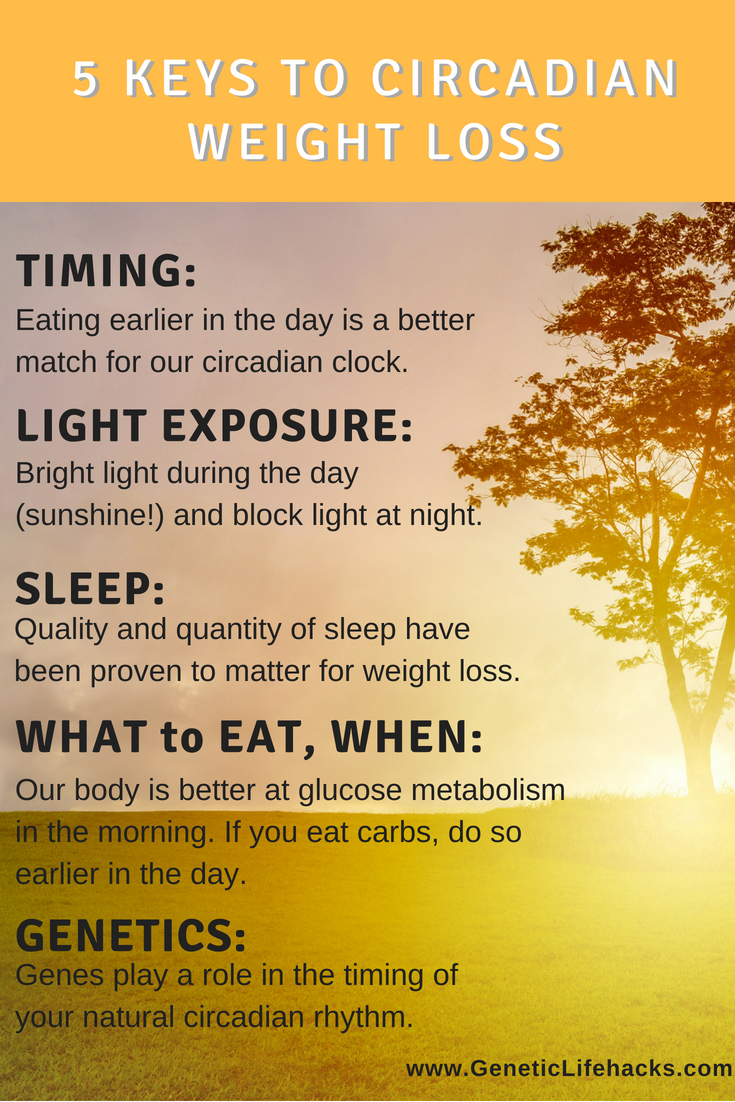 Circadian Rhythm Diet Weight Loss Meal Timing 