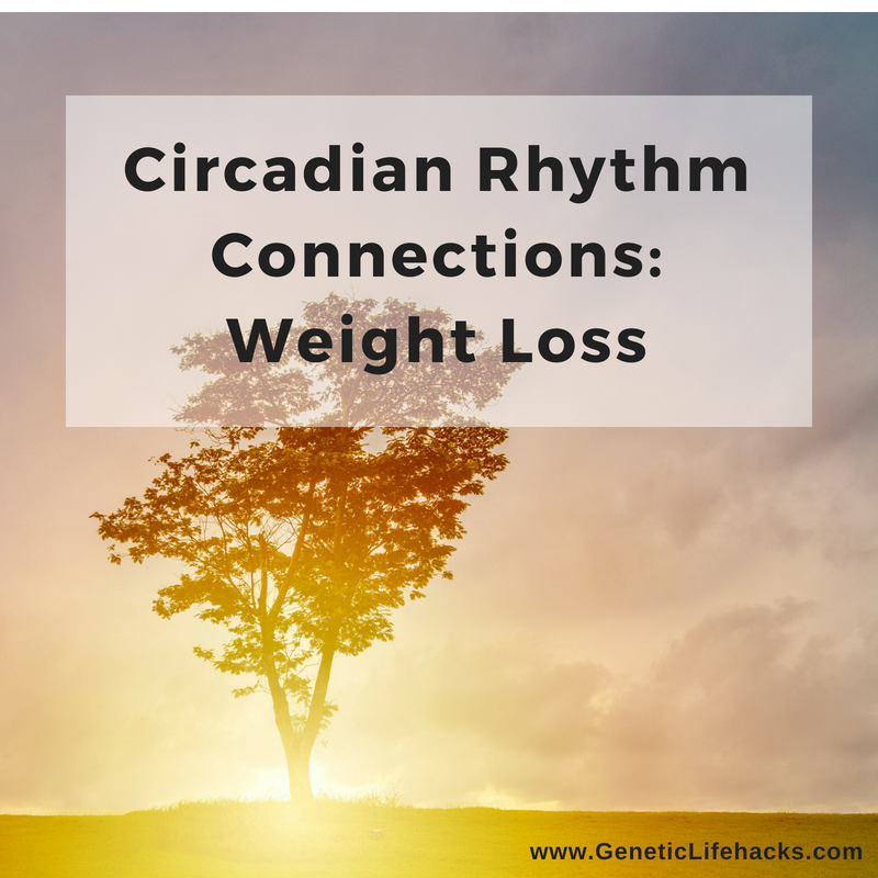 circadian-rhythm-connections-part-2-weight-loss-and-meal-timing