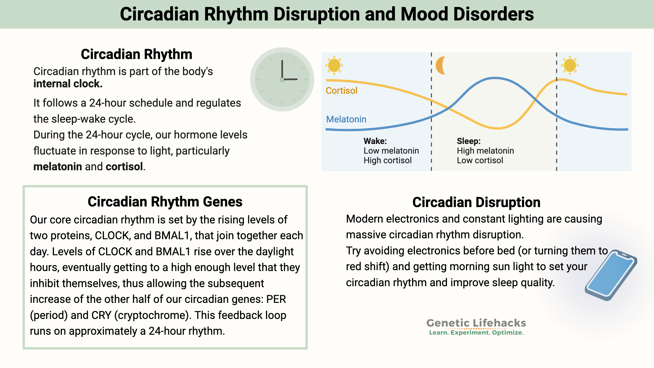 Circadian Rhythm Disruption and Mood Disorders