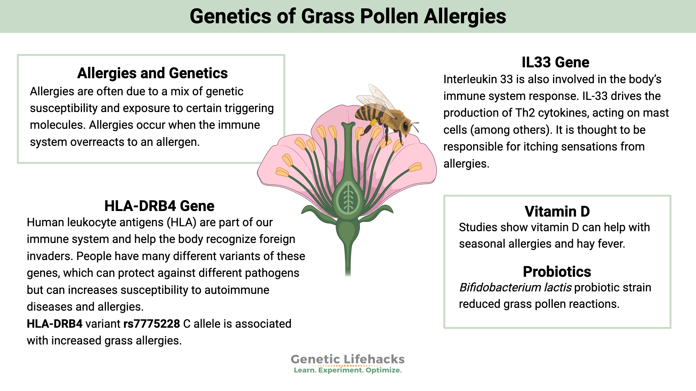 Genetics of Grass and Pollen Allergies