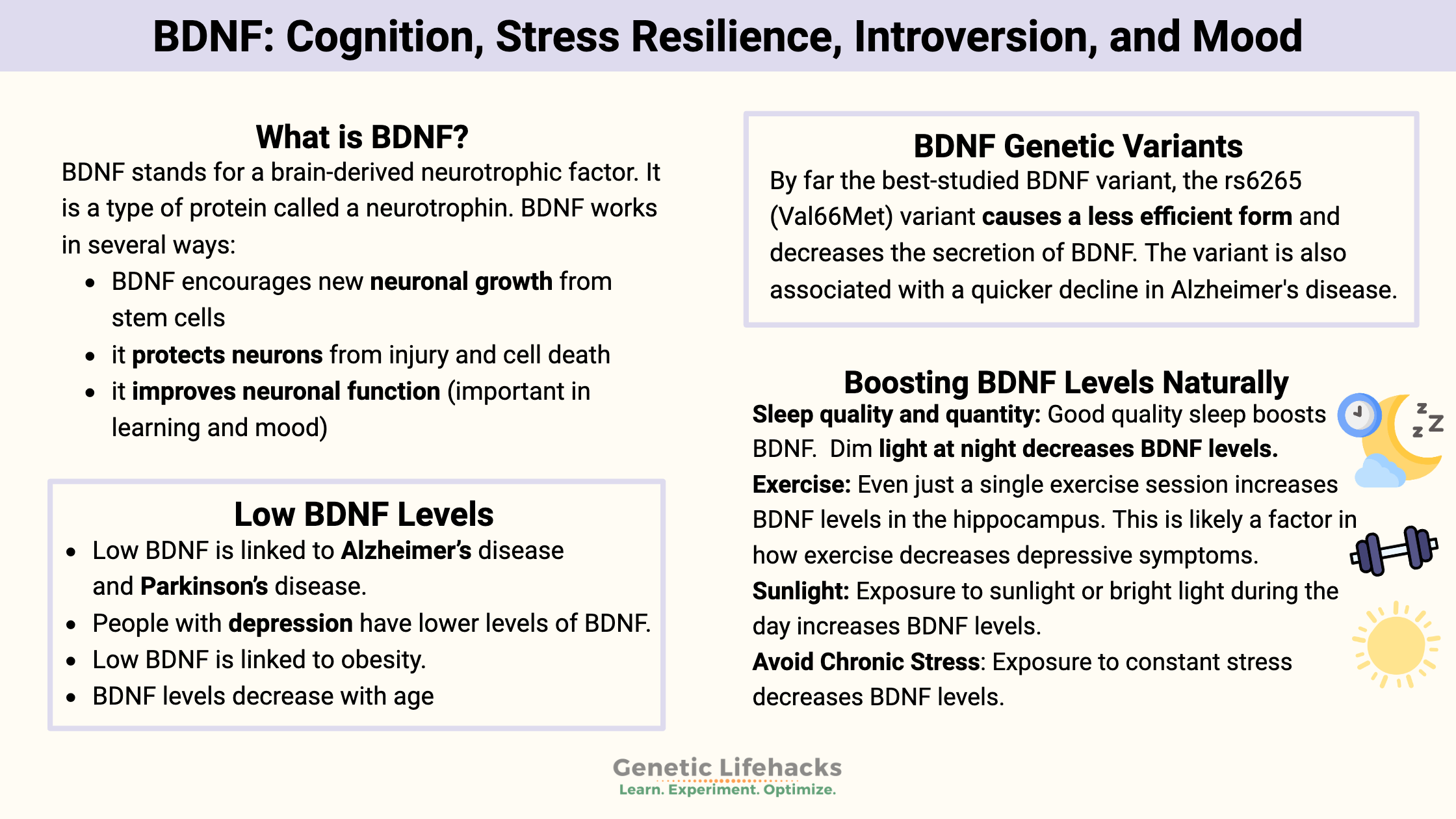 BDNF: Cognition, Stress Resilience, Introversion, and Mood