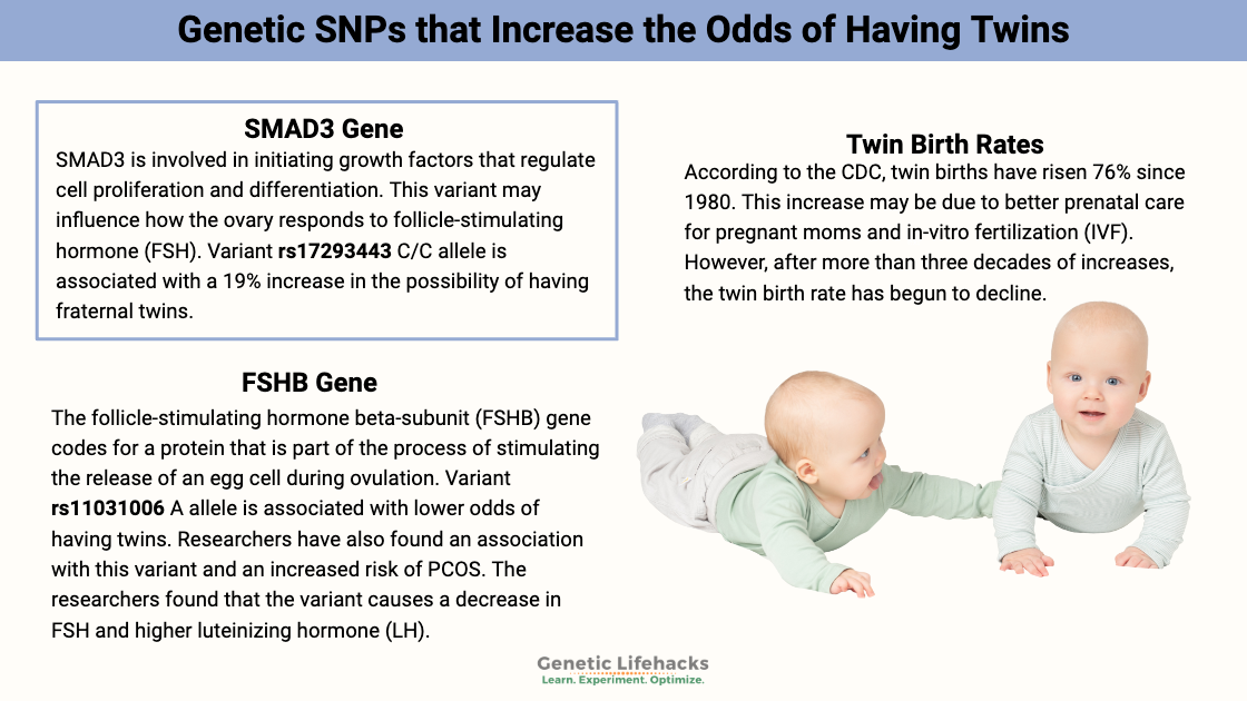 Genetic SNPs that Increase the Odds of Having Twins