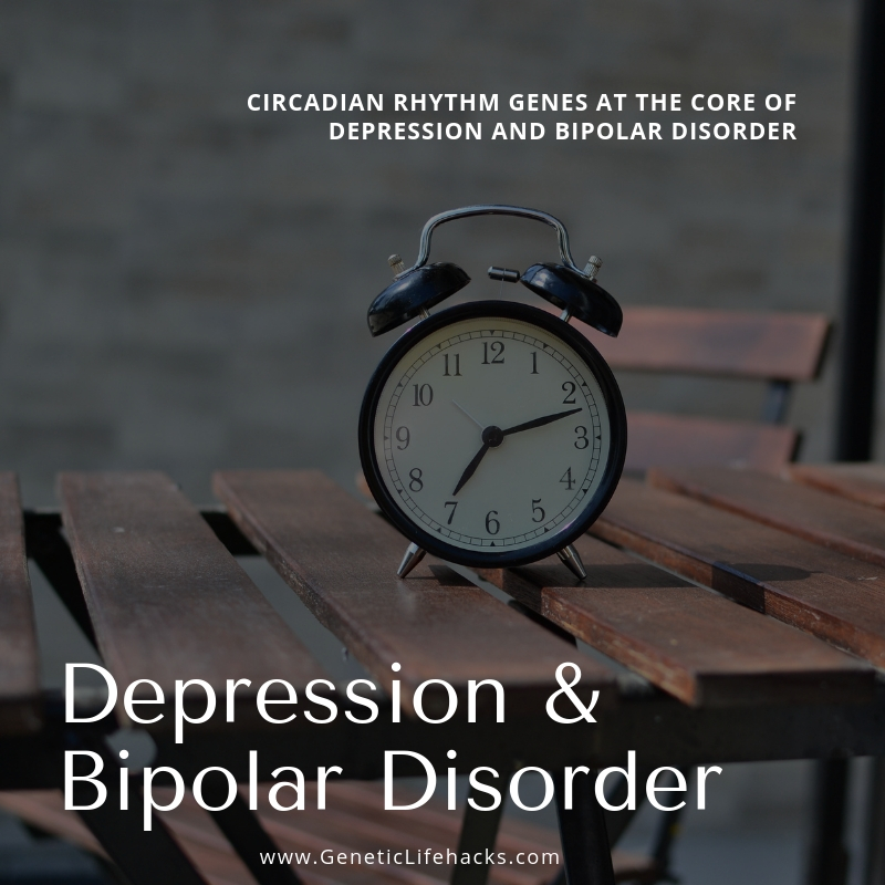 bipolar-disorder-depression-and-circadian-clock-genes-genetic-lifehacks