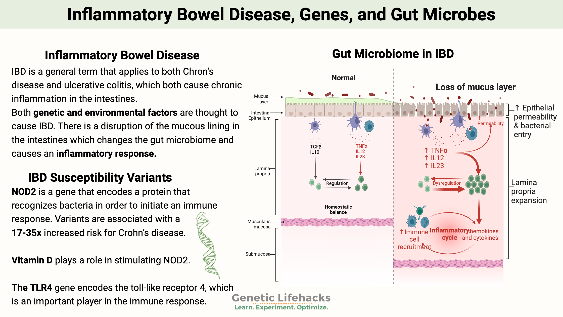 Inflammatory Bowel Disease, Genes, and Gut Microbes