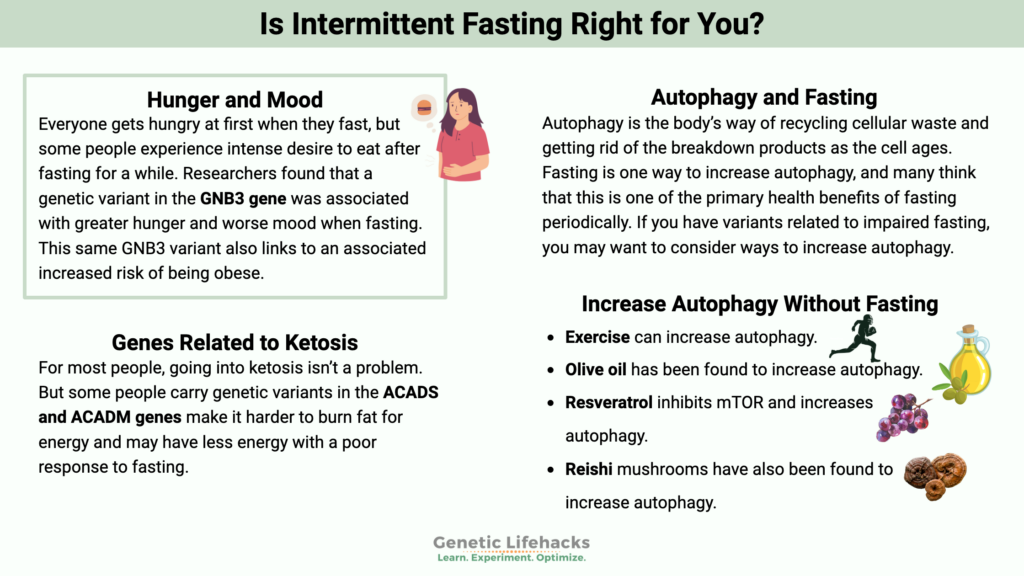 Is Intermittent Fasting Right for You, genes related to Autophagy