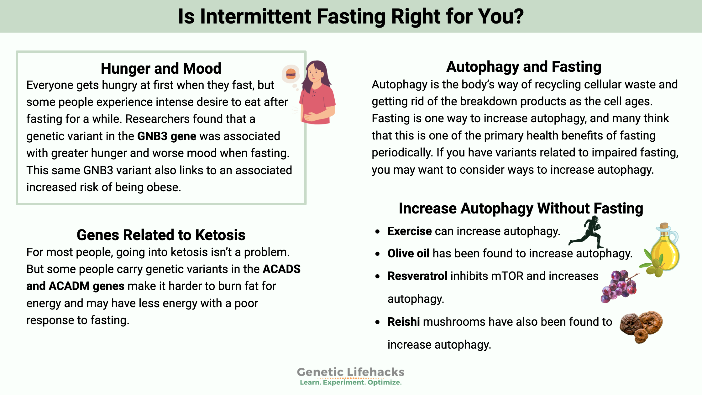 Is Intermittent Fasting Right for You, genes related to Autophagy