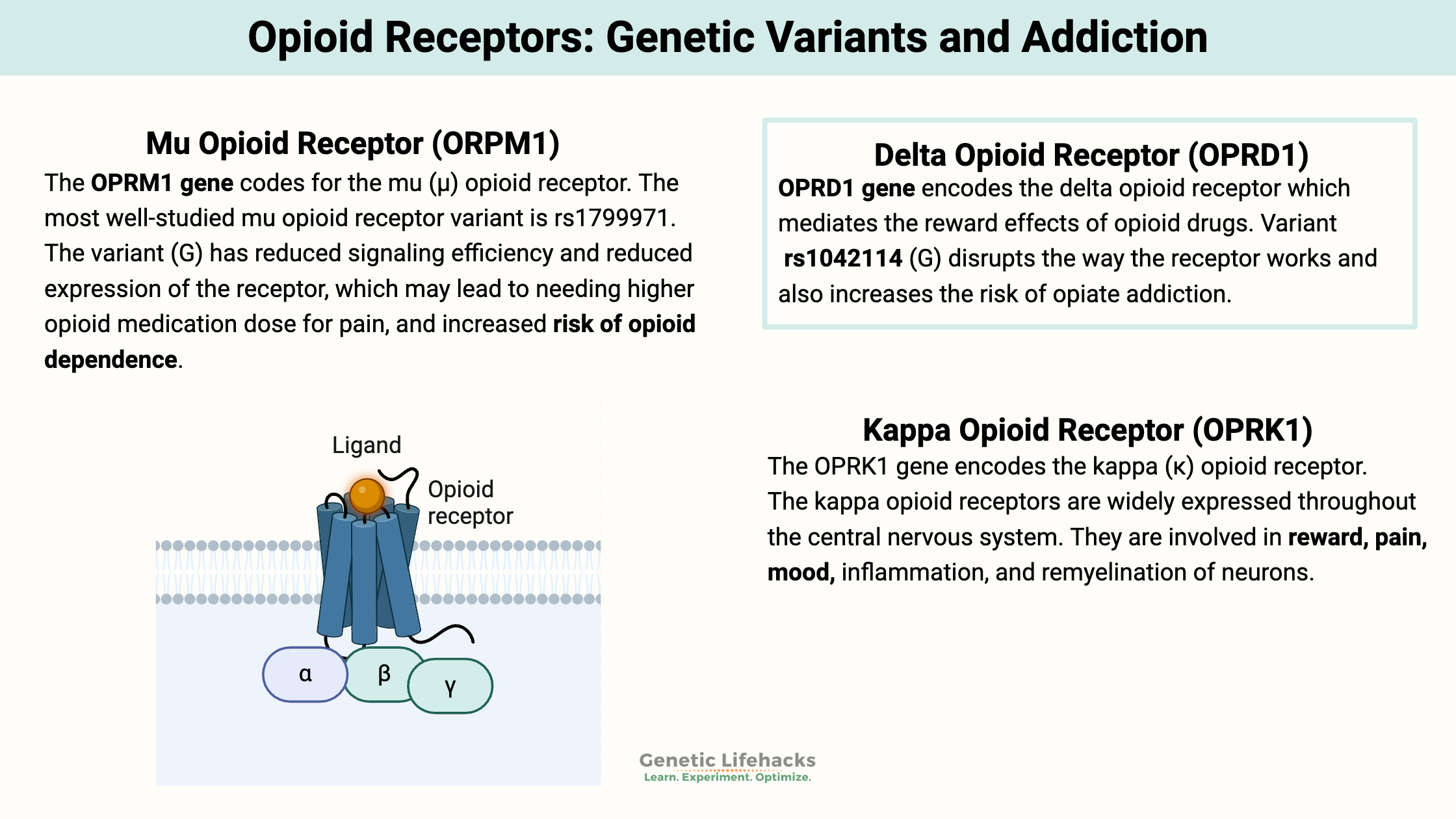 Opioid Receptor Genetic Variants and Addiction