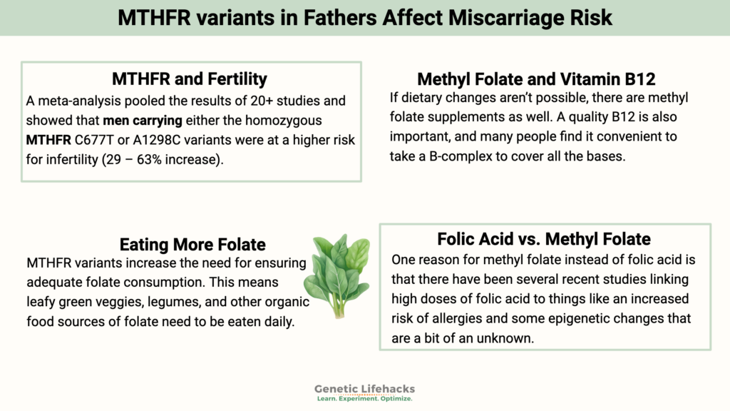 MTHFR variants in Fathers Affect Miscarriage Risk, methylfolate vs folic acid