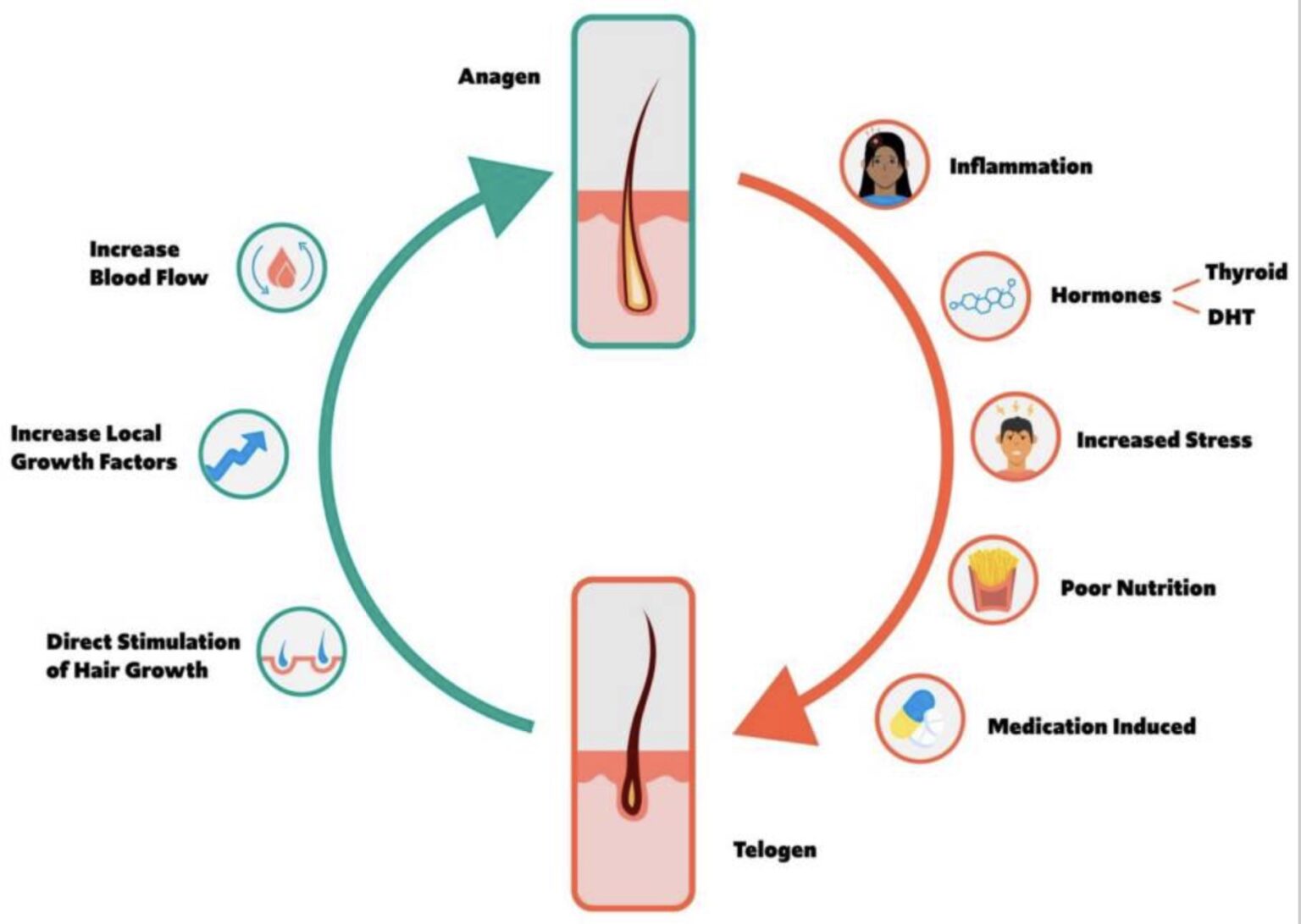 Genes For Balding: How To Check Your Genetic Data