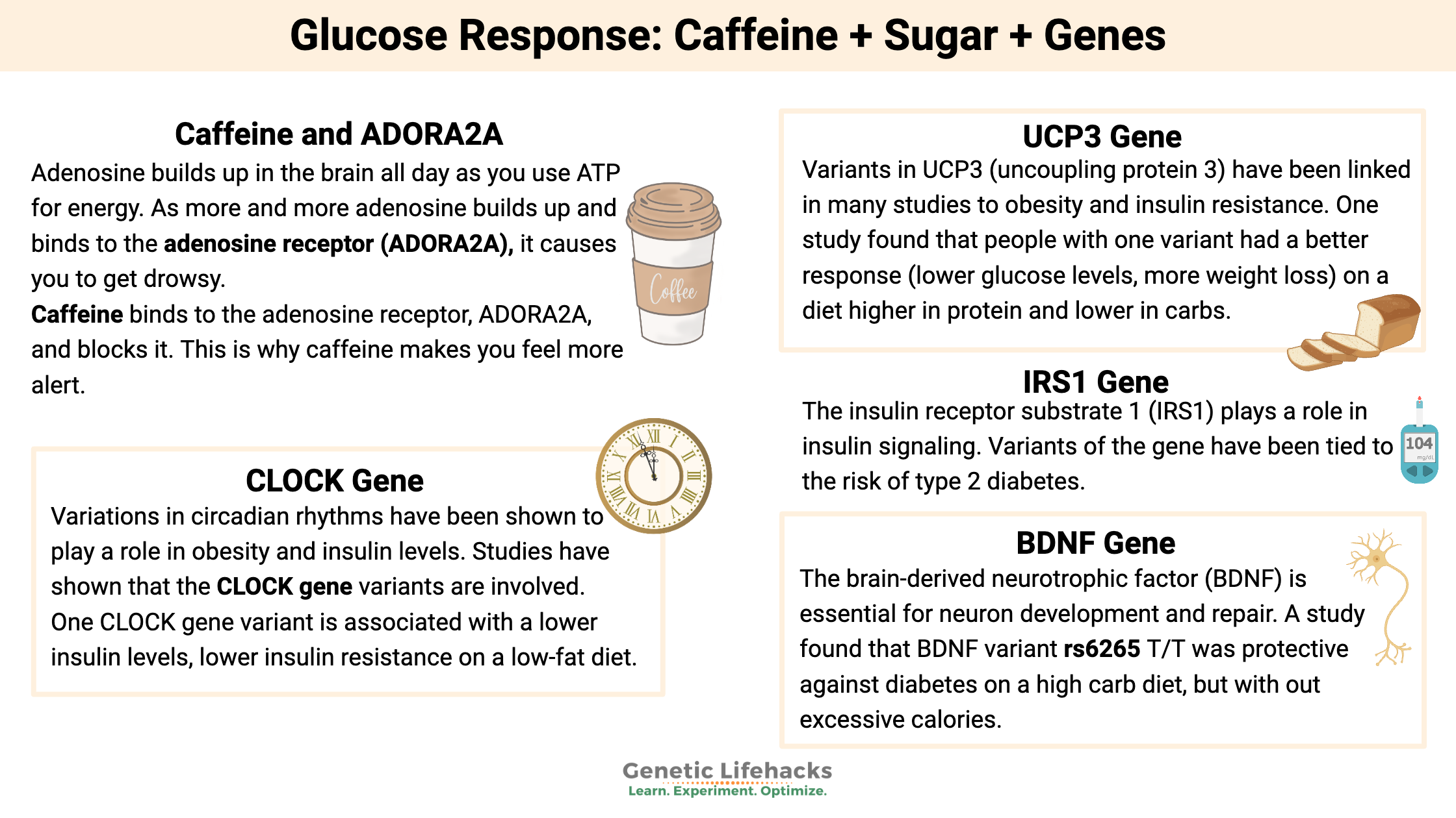 Glucose Response: Caffeine + Sugar + Genes