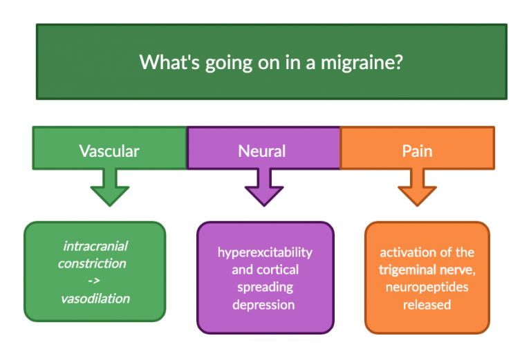 Migraines: Solutions Based On Genes