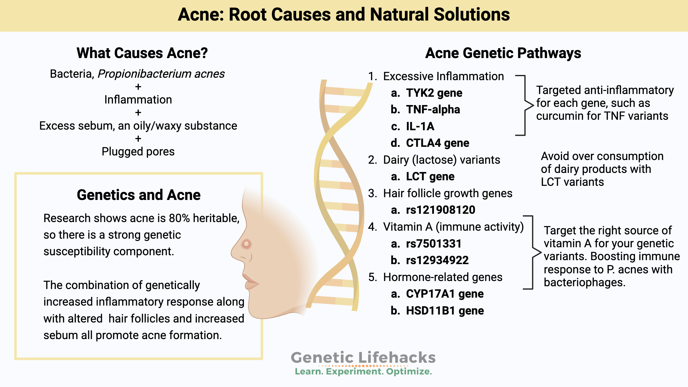 Acne: genetic pathways that influence acne