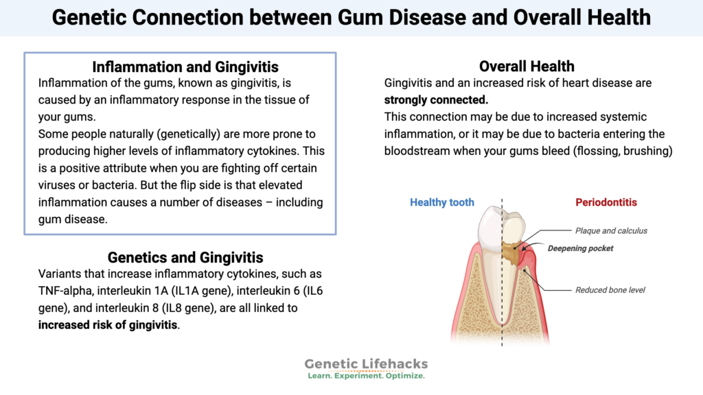 Genetic Connection between Gum Disease and Overall Health