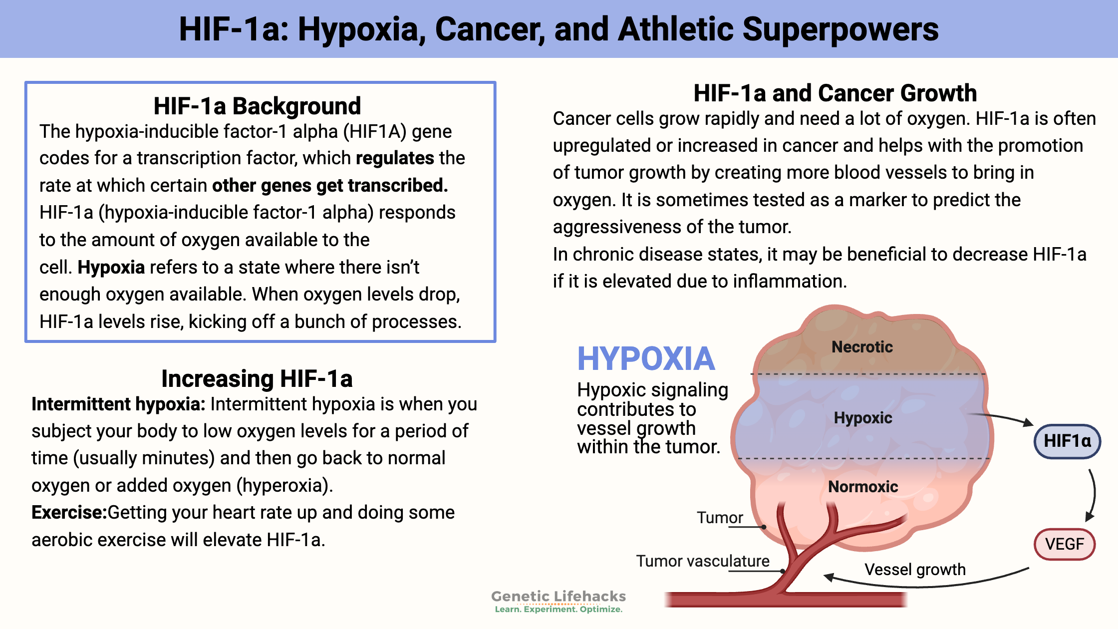 HIF-1a: Hypoxia, Cancer, and Athletic Superpowers