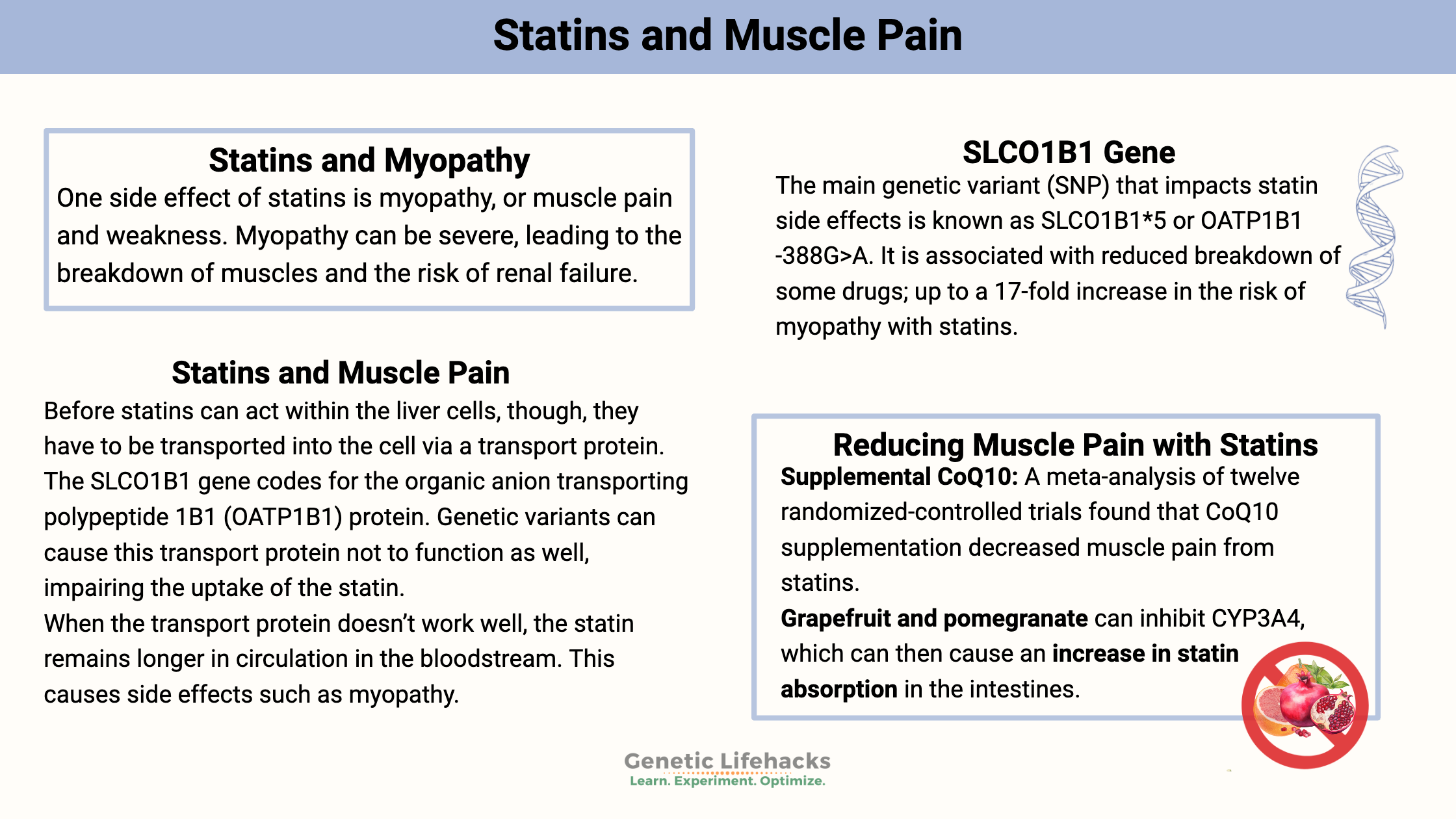 Statins and Muscle Pain