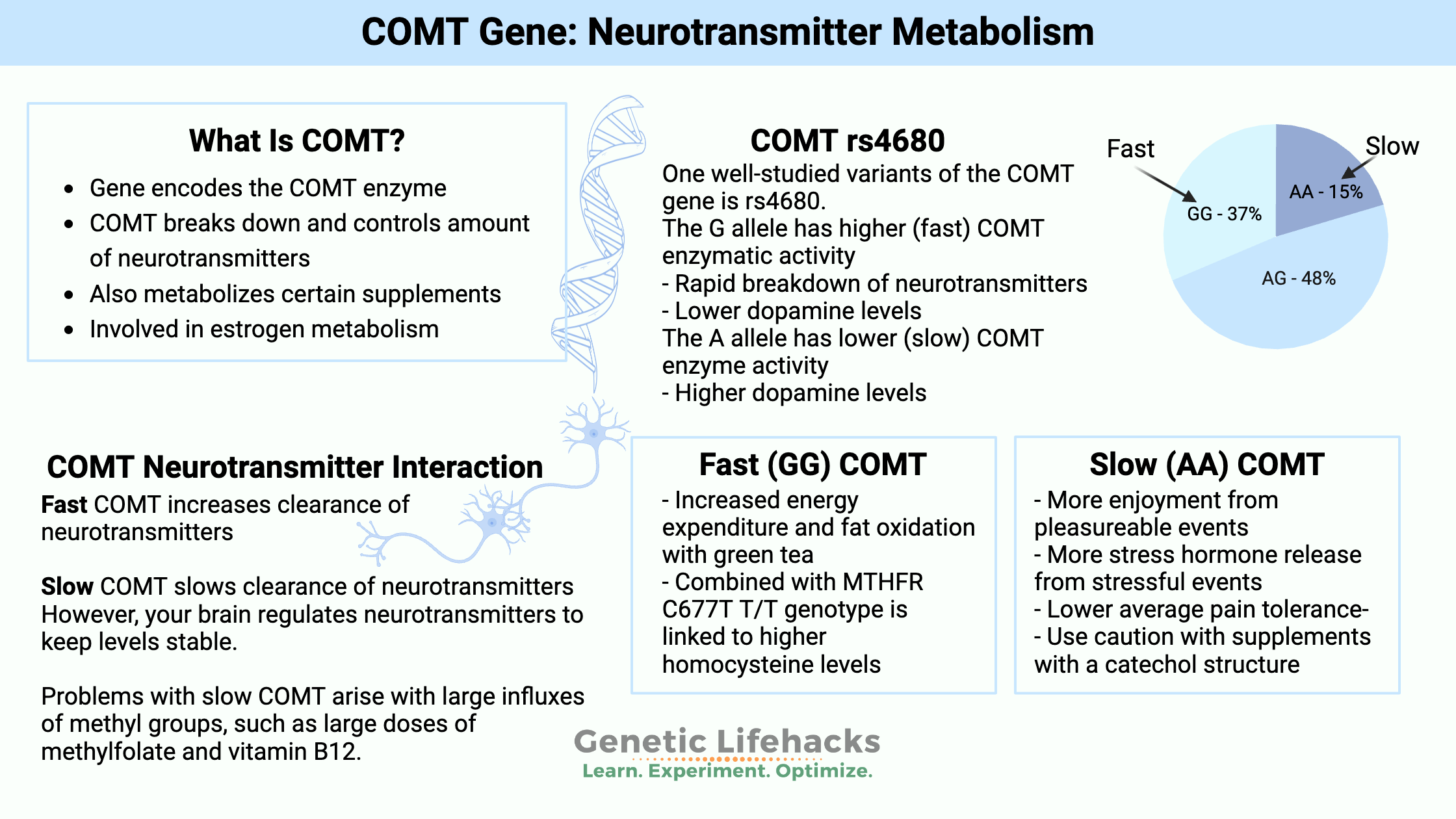 COMT Graphical Abstract, Slow COMT effects, Slow COMT