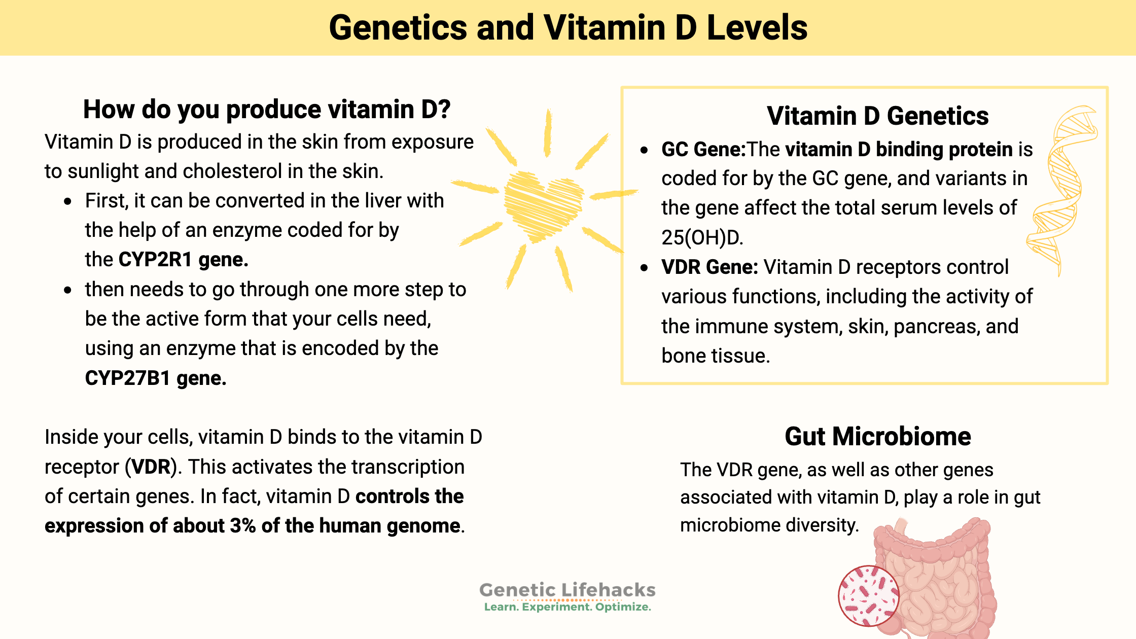 Genetics and Vitamin D Levels