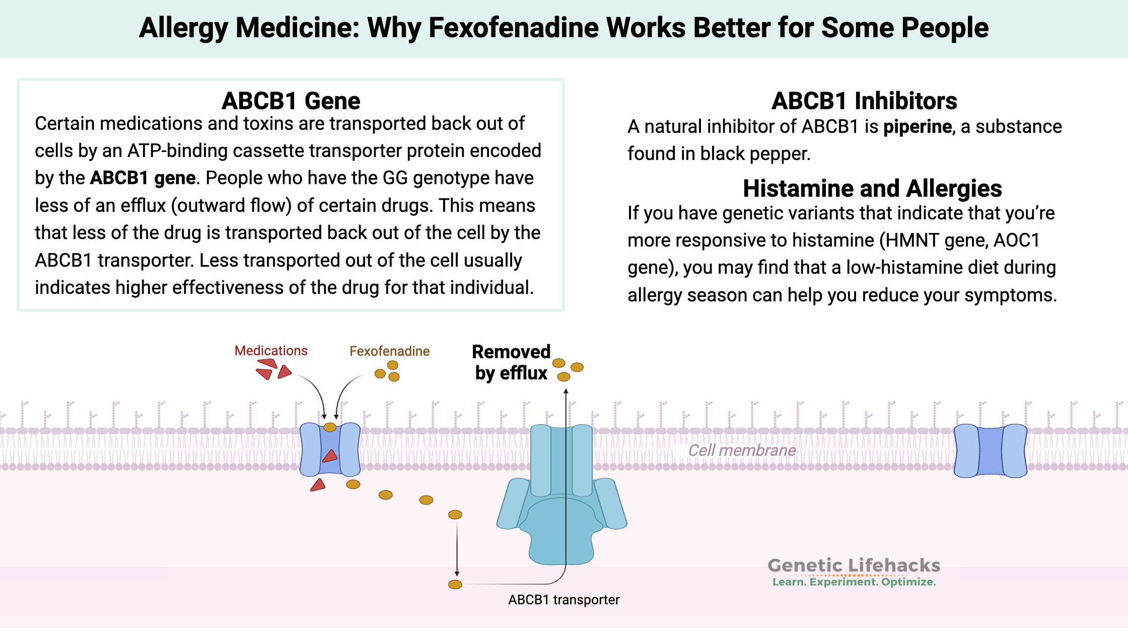 Allergy Medicine: Why Fexofenadine Works Better for Some People