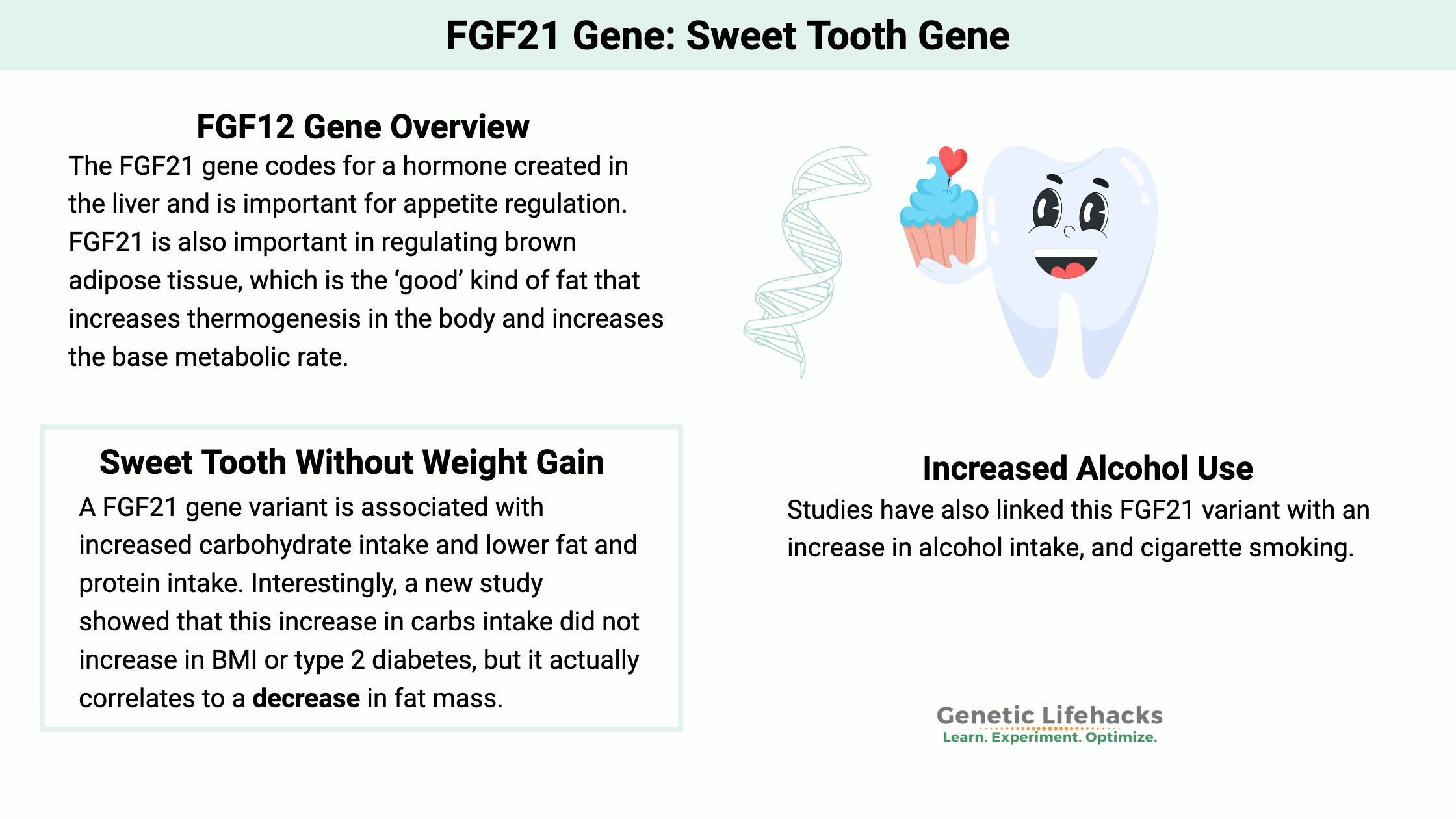 FGF21 gene Sweet Tooth Without Weight Gain