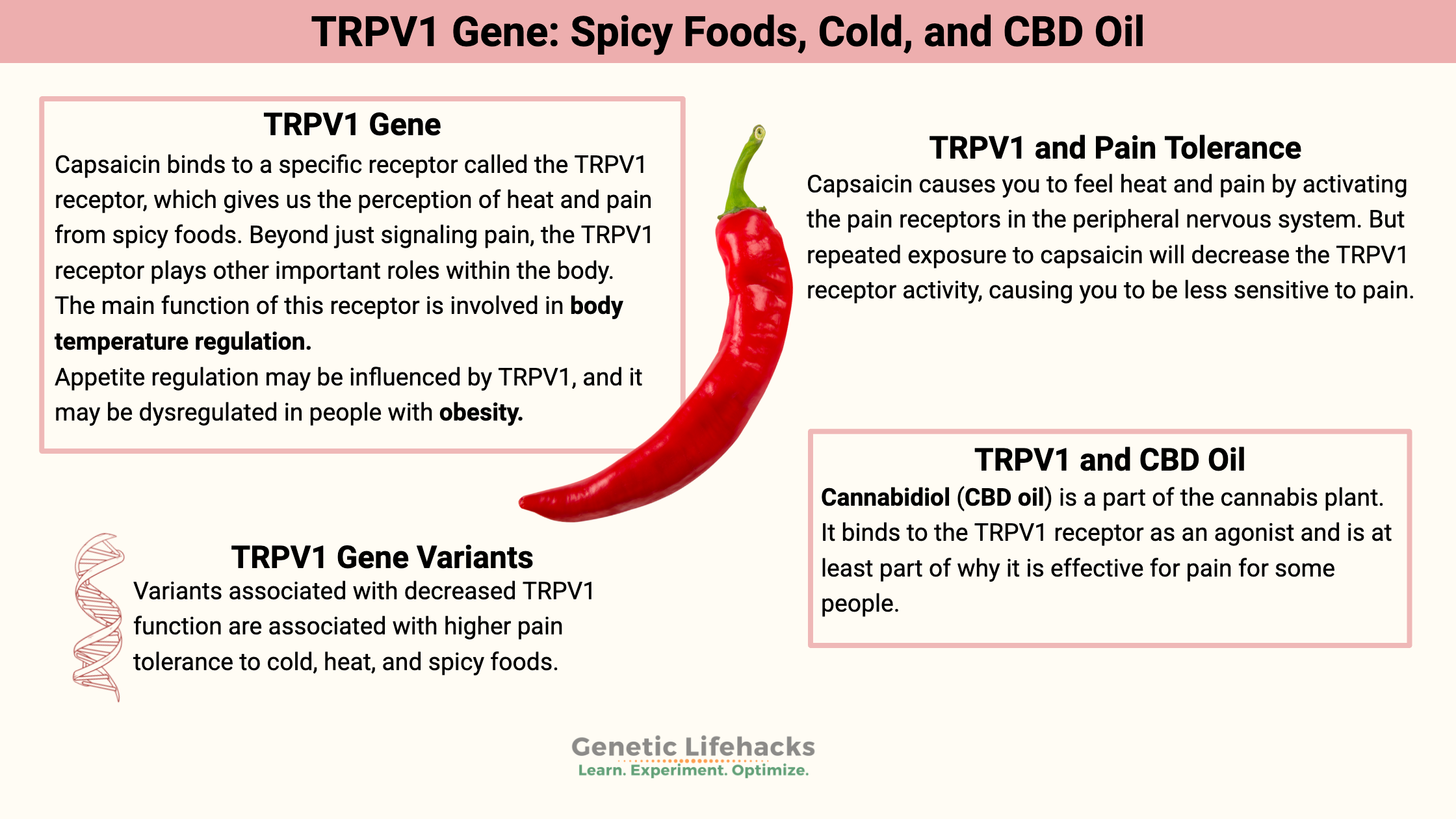 TRPV1 Gene: Spicy Foods, Cold, and CBD Oil