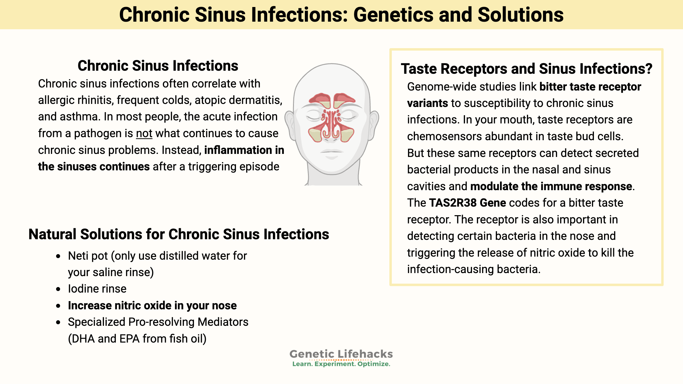 Chronic Sinus Infections: Genetics, Reasons, Solutions