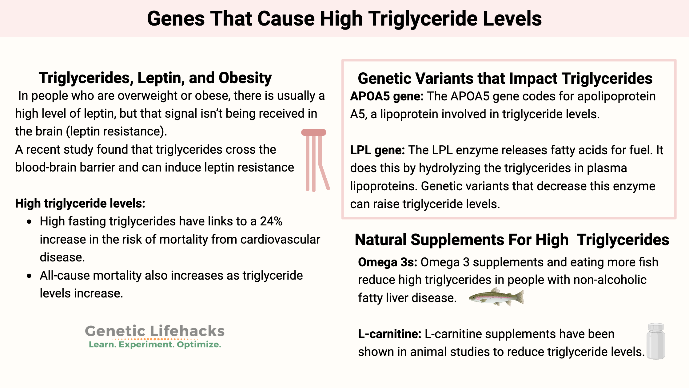 Genes That Cause High Triglyceride Levels