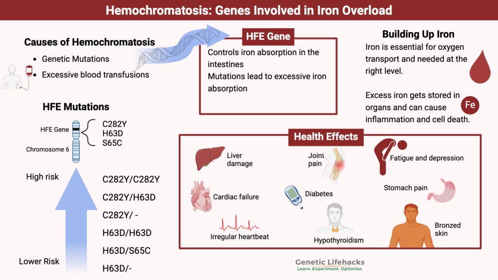 Hemochromatosis Symptoms, genetics