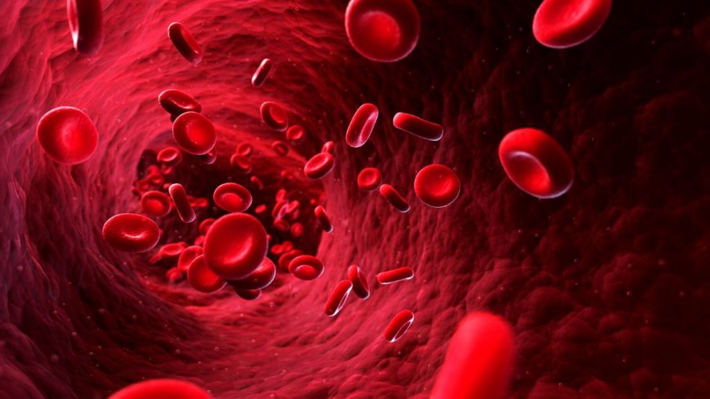 Blood type and coronavirus susceptibility