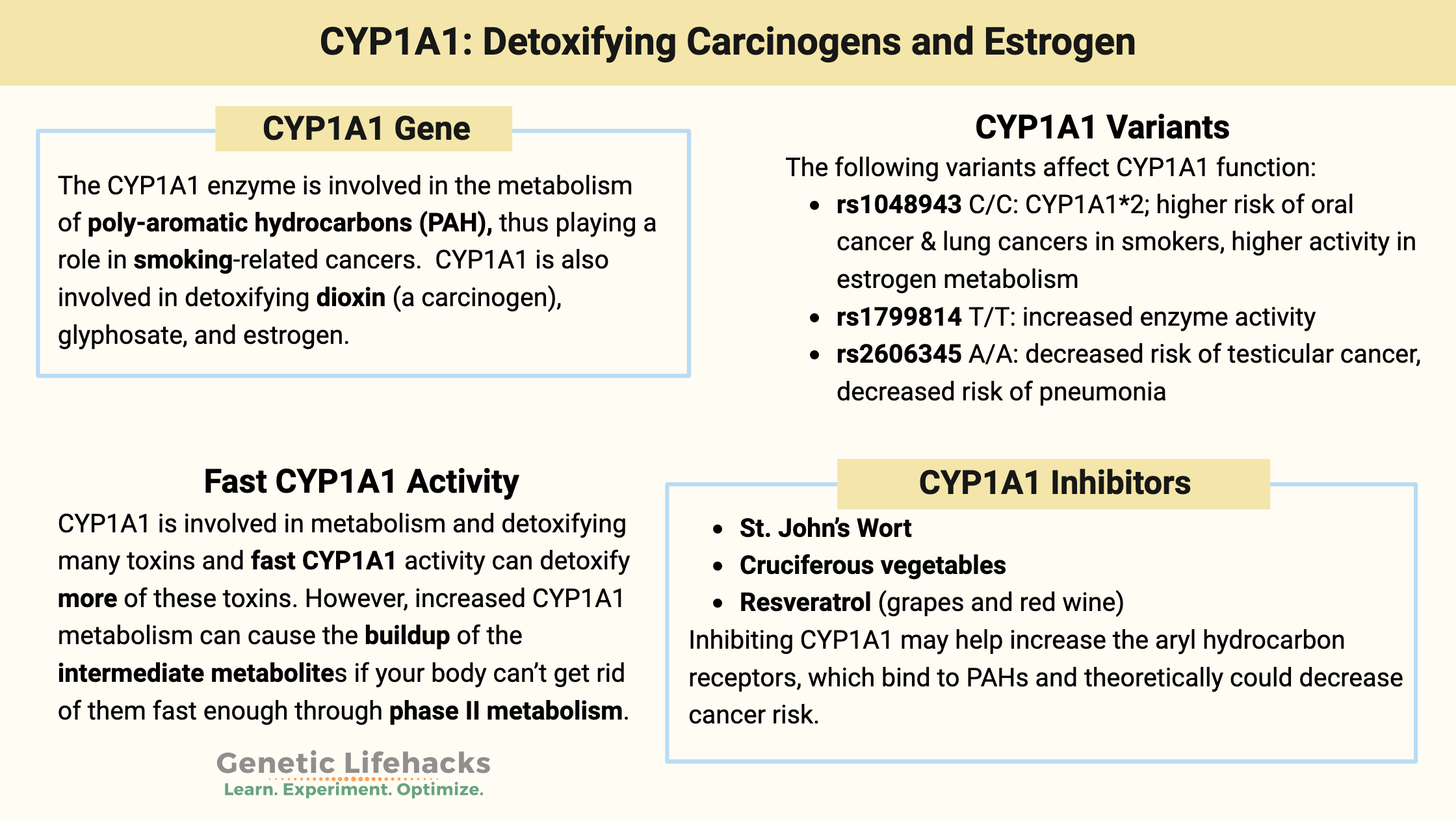 CYP1A1 Detoxifying Carcinogens and Estrogen, CYP1A1 Variants, CYP450 Family of Genes