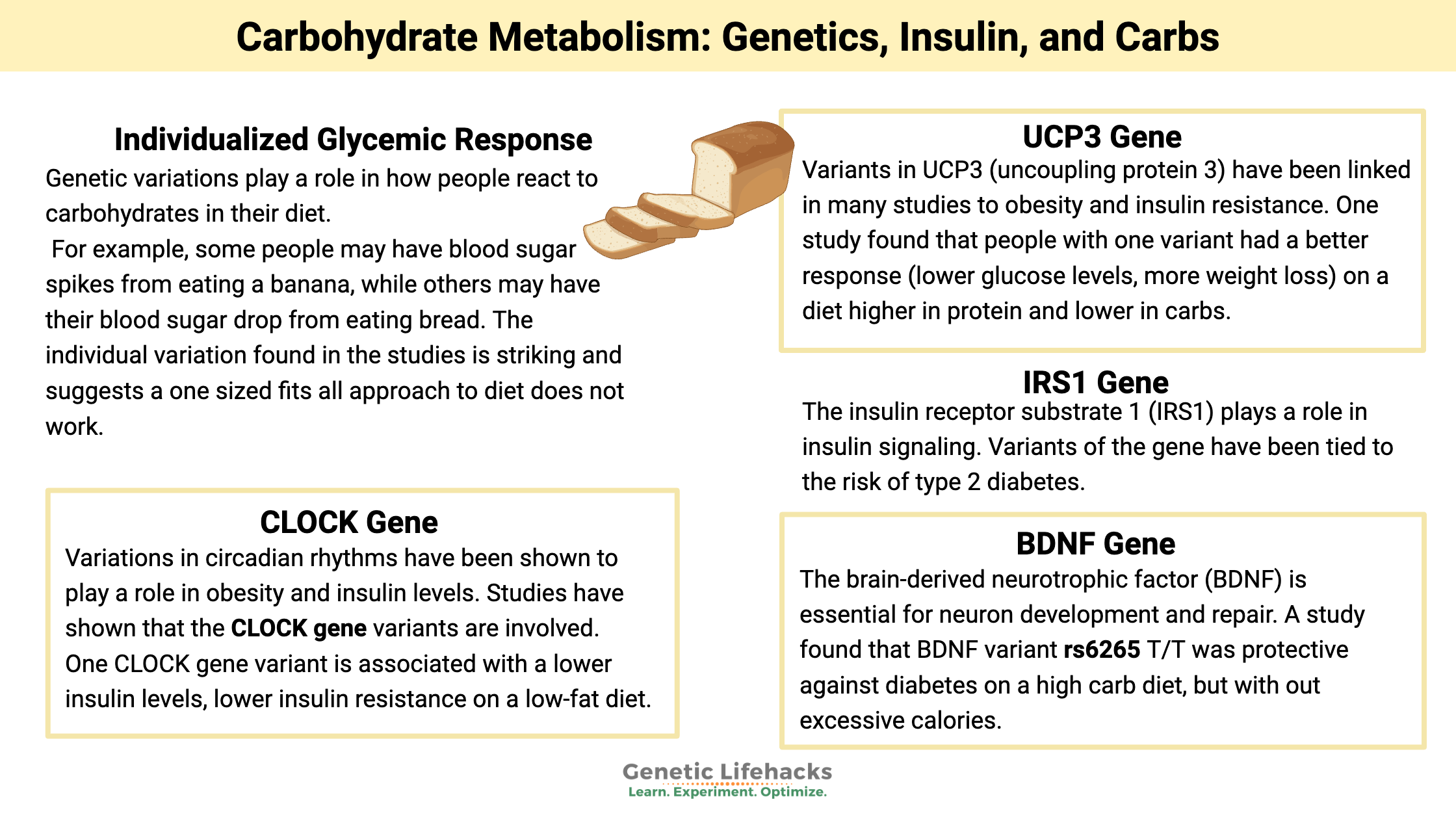 Carbohydrate metabolism: Genetics, Insulin, and Carbs