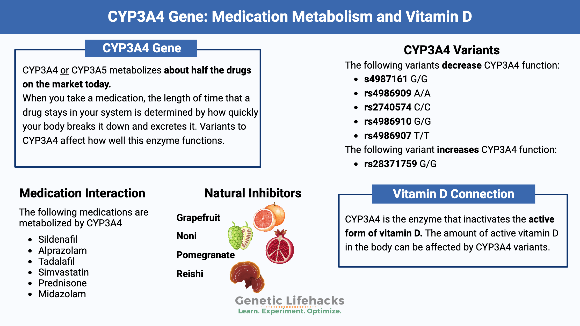 CYP3A4 Gene: CYP450 Family of Genes, Medication Metabolism and Vitamin D Interaction