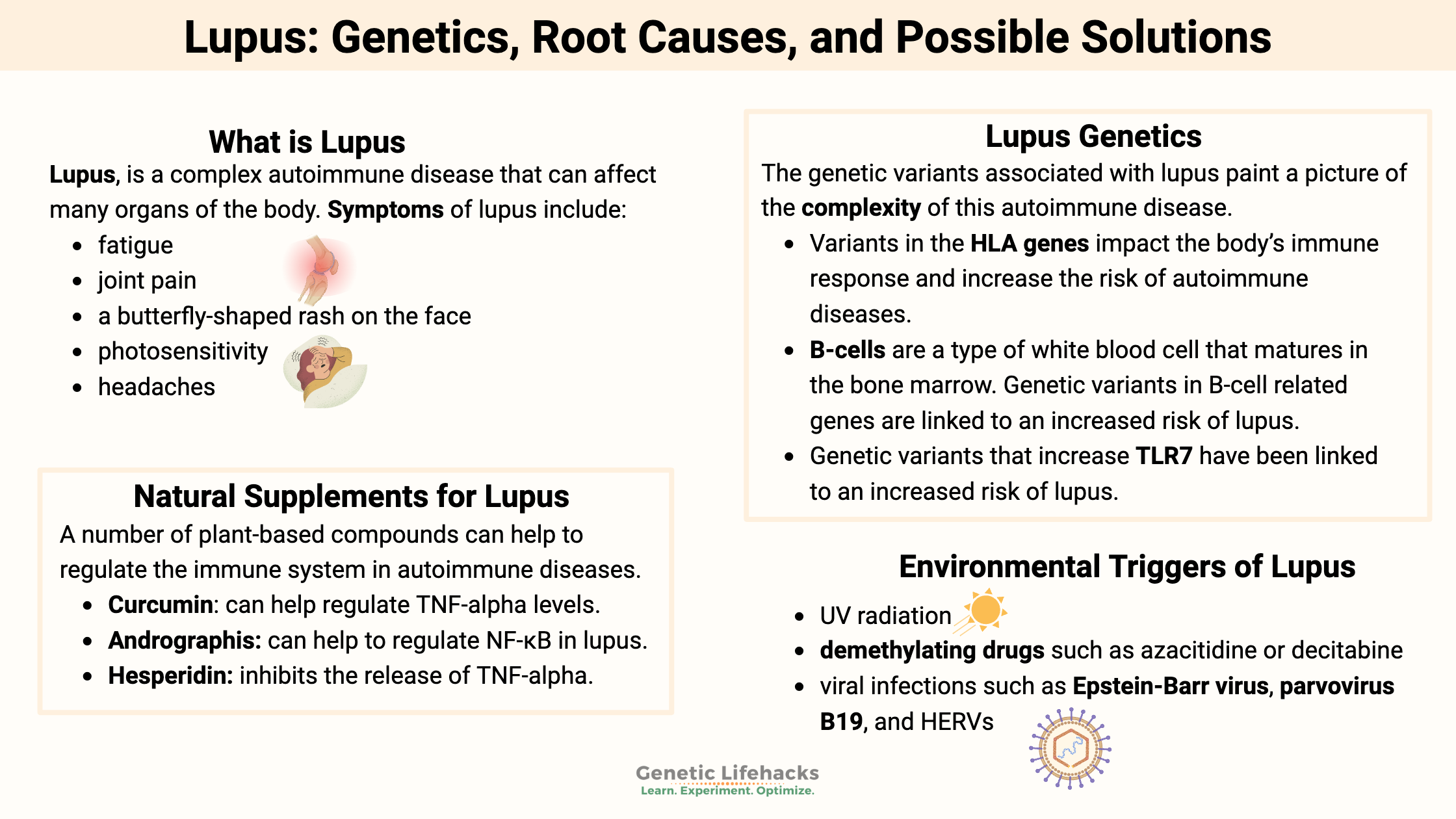 Lupus: Genetics, Root Causes, and Possible Solutions