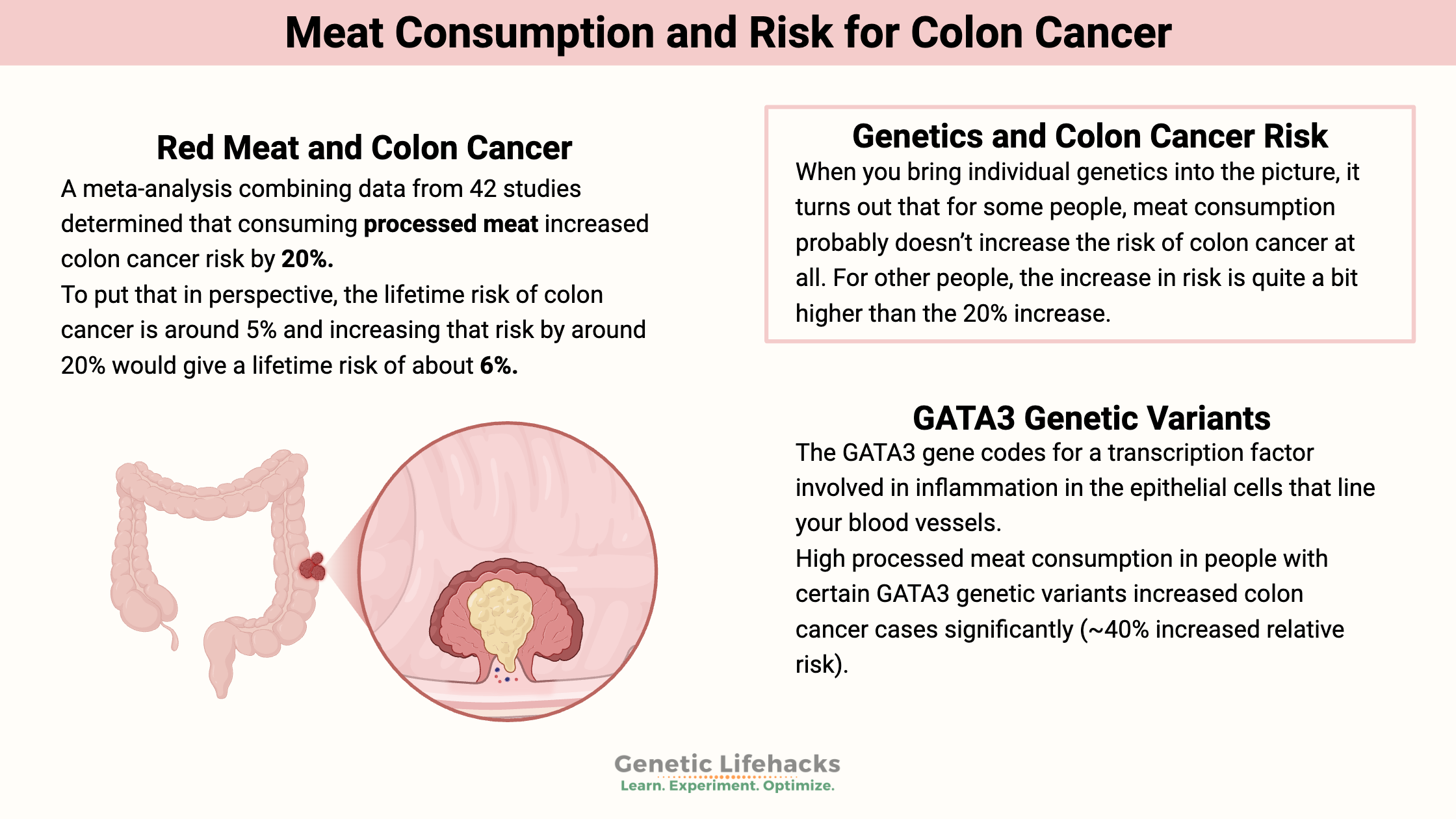 Meat Consumption and Risk for Colon Cancer