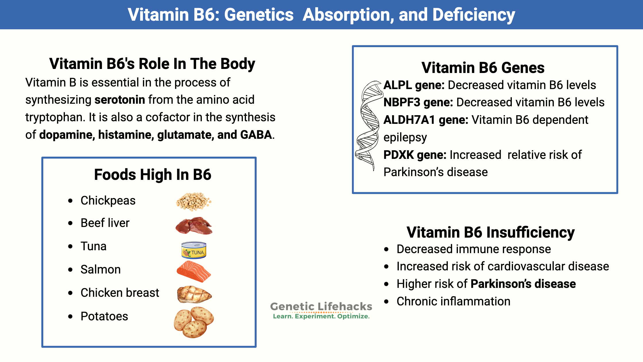 Vitamin B6 deficiency genes, foods high in vitamin B6