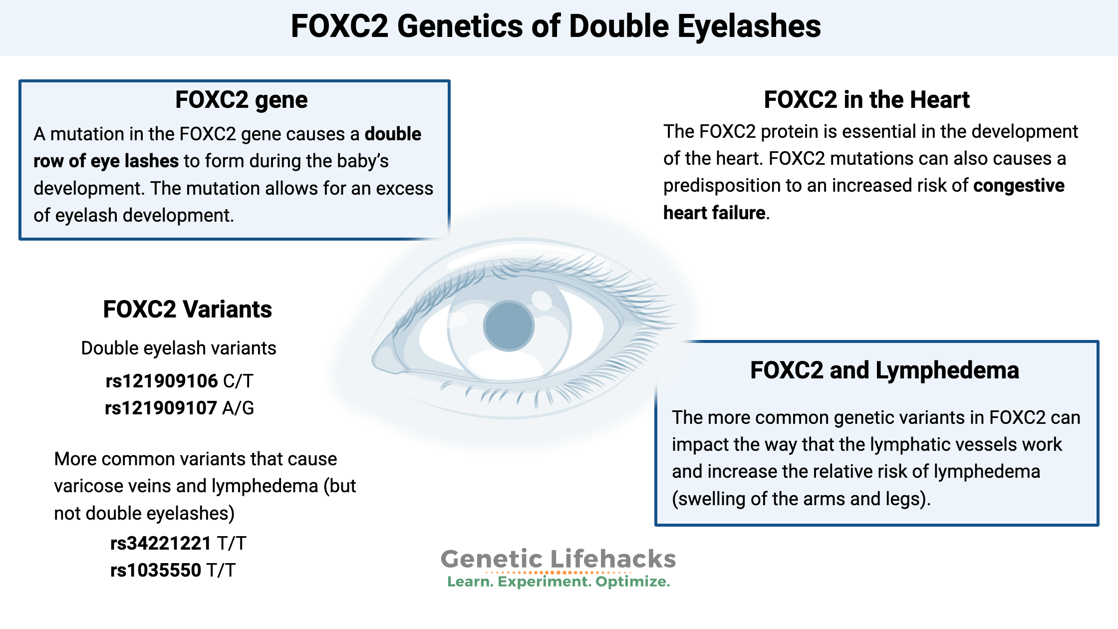 FOXC2 double eyelash genetic variant, increased risk of varicose veins lymphedema