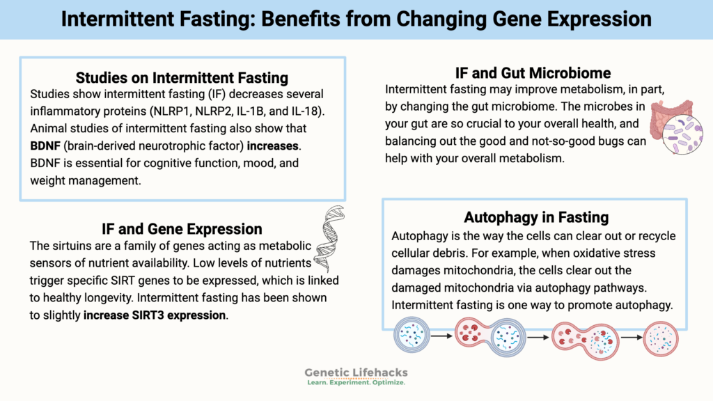 Intermittent Fasting: Benefits from Changing Gene Expression