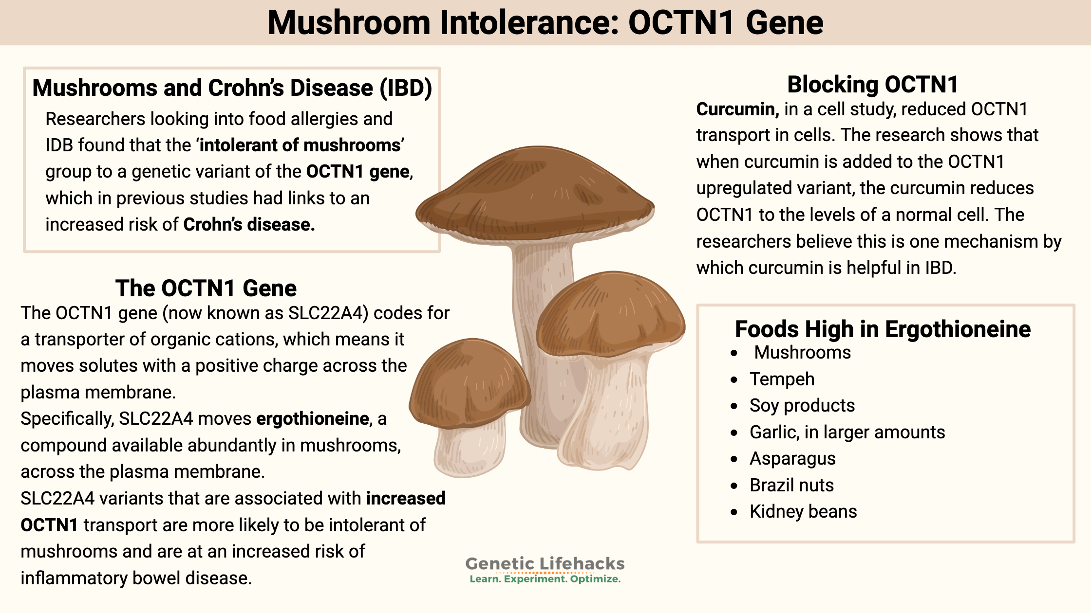 Mushroom Intolerance: IBD, Ergothioneine and the OCTN1 Gene