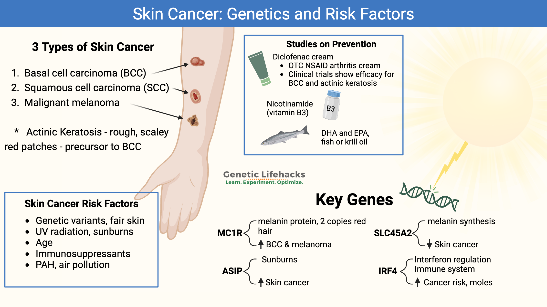 Skin cancer genetics, MC1R, risk factors for skin cancer, skin cancer prevention