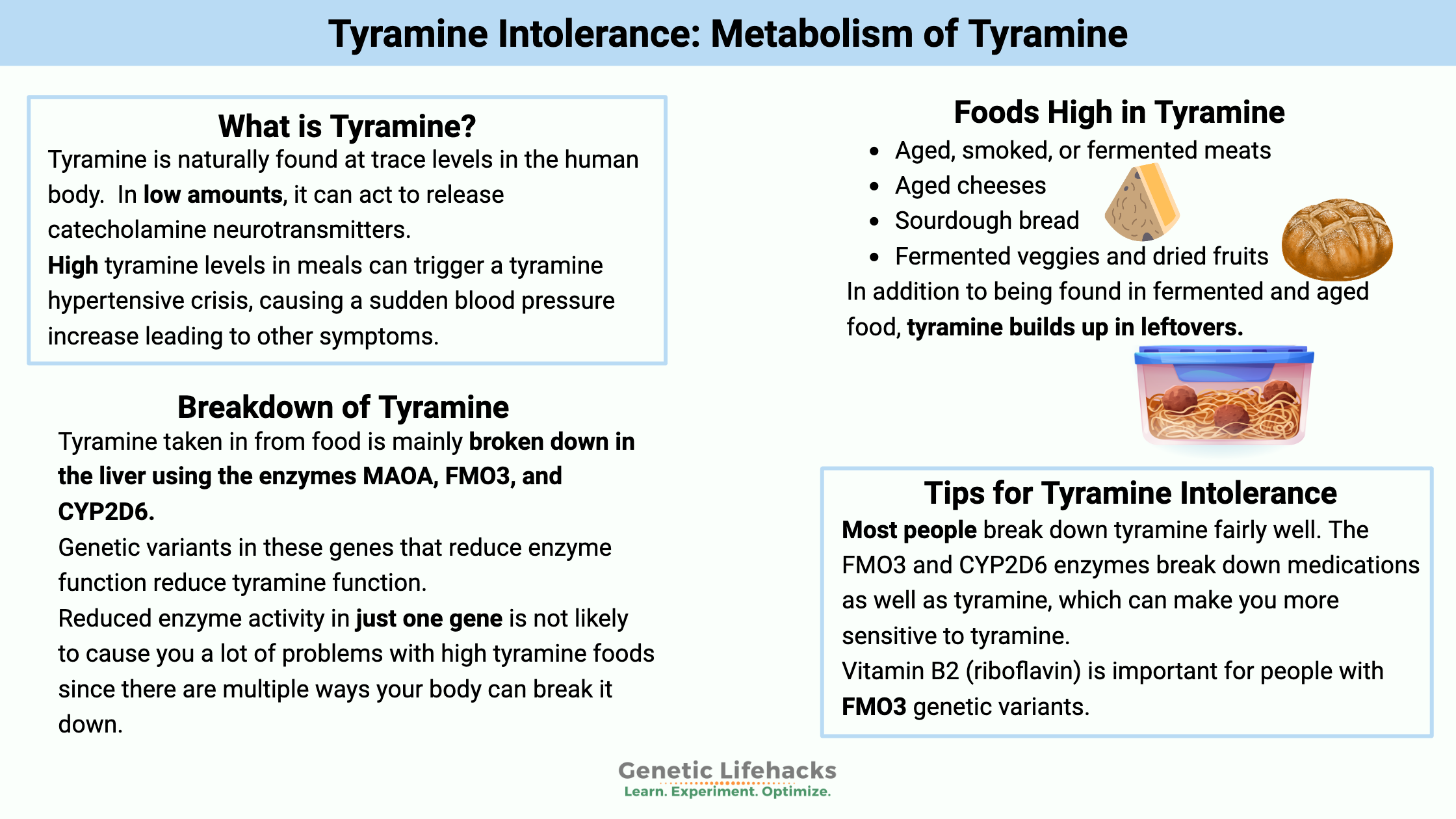 Tyramine Intolerance: Metabolism of Tyramine, MAOA, FMO3, and CYP2D6 enzymes, foods high in tyramine