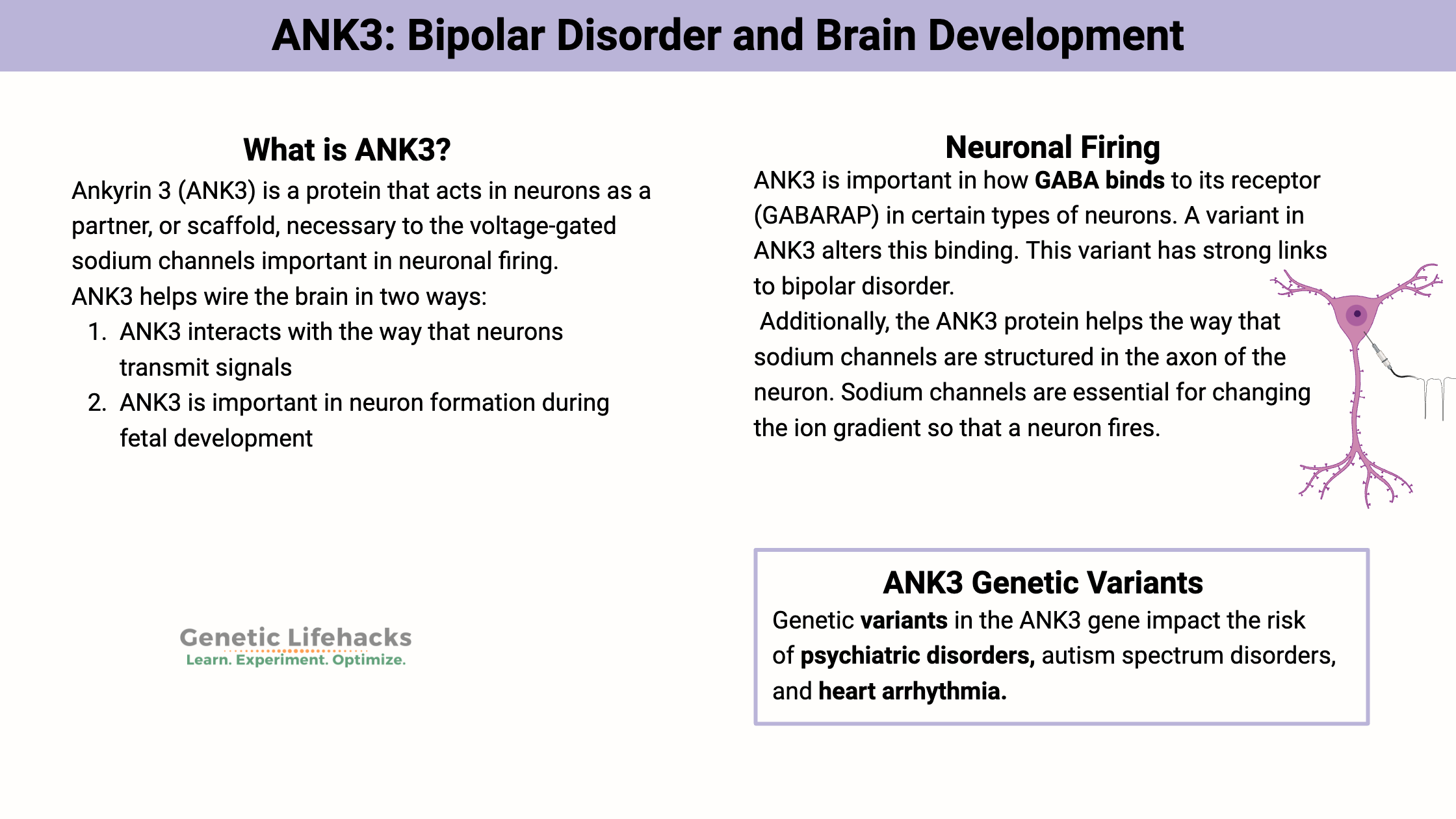 ANK3: Bipolar Disorder and Brain Development