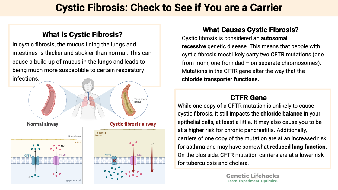 Cystic Fibrosis: Check to See if You are a Carrier