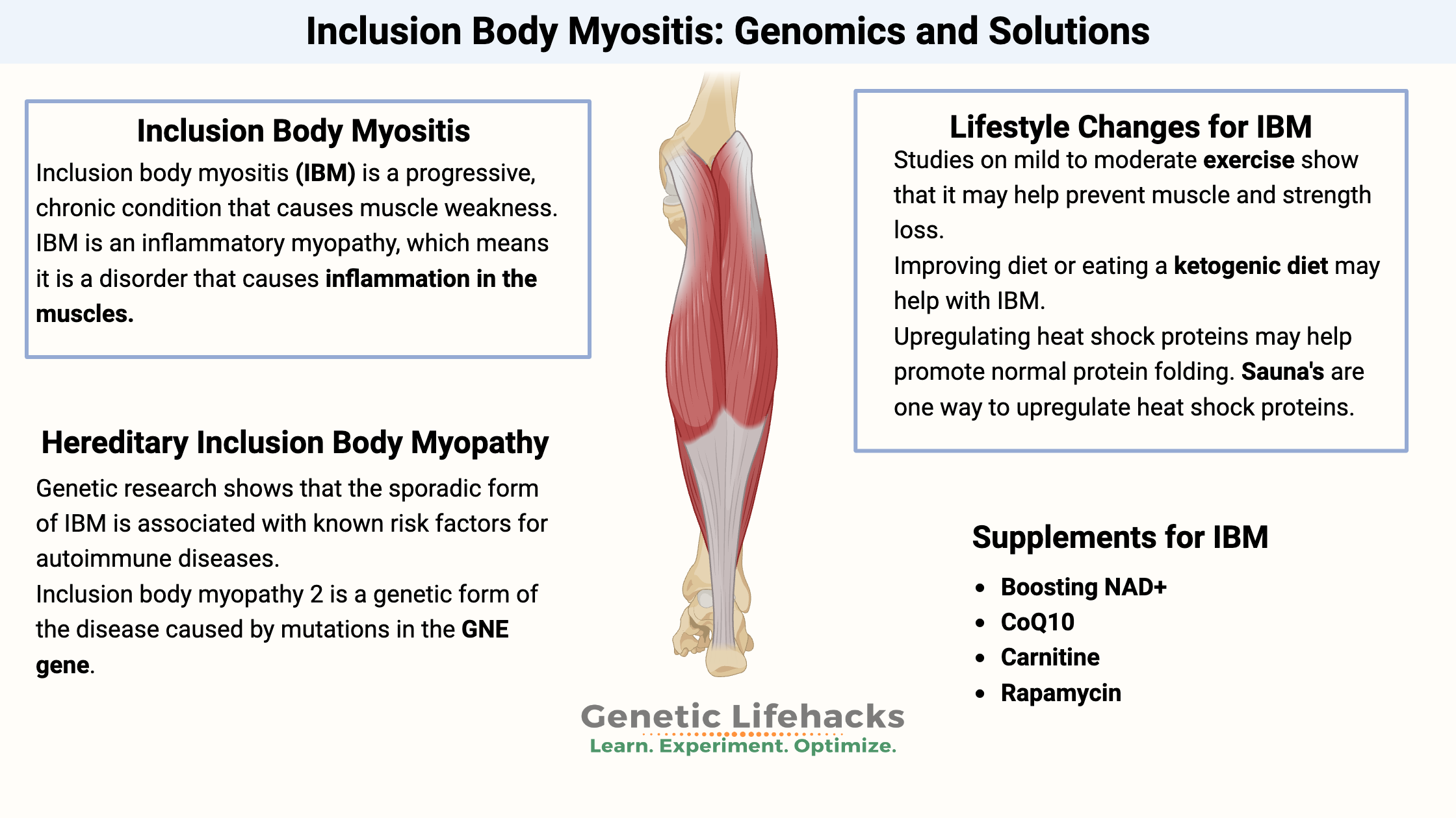 Inclusion Body Myositis inflammation, genetics, supplements, and lifestyle changes for inclusion body myositis