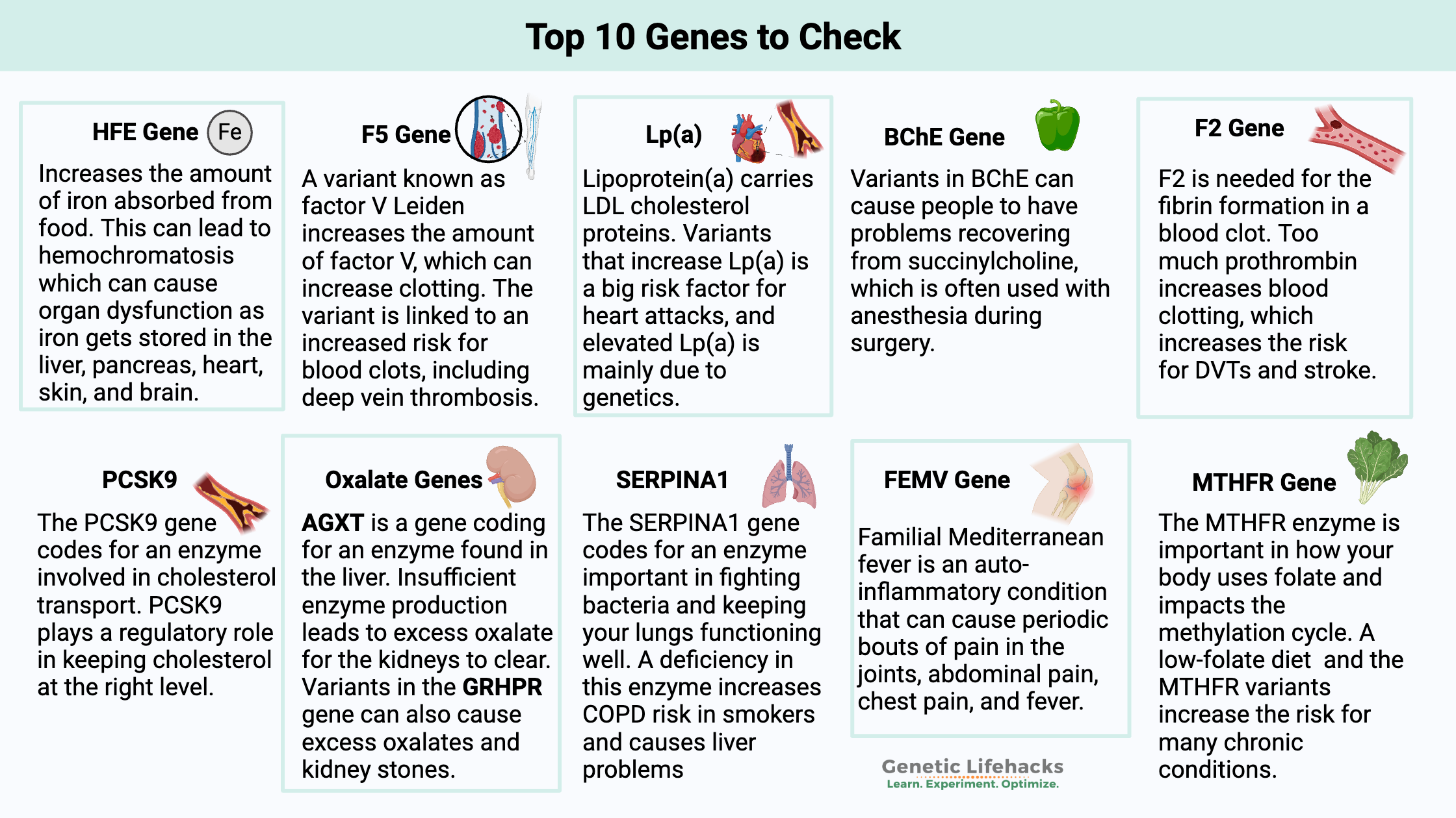 10 important genes to check with 23andMe or Ancestry data