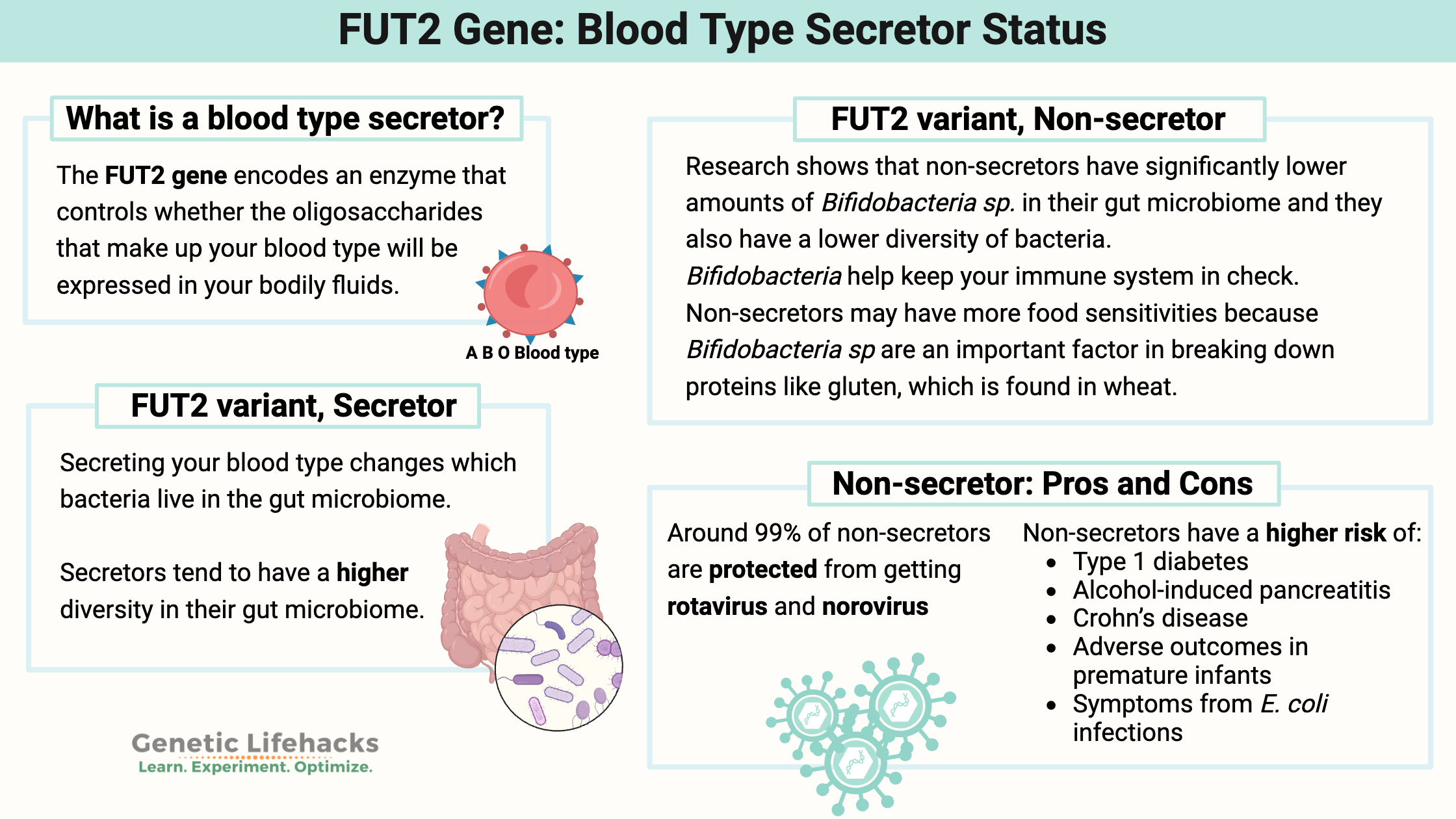 FUT2 gene blood type secretor status gene